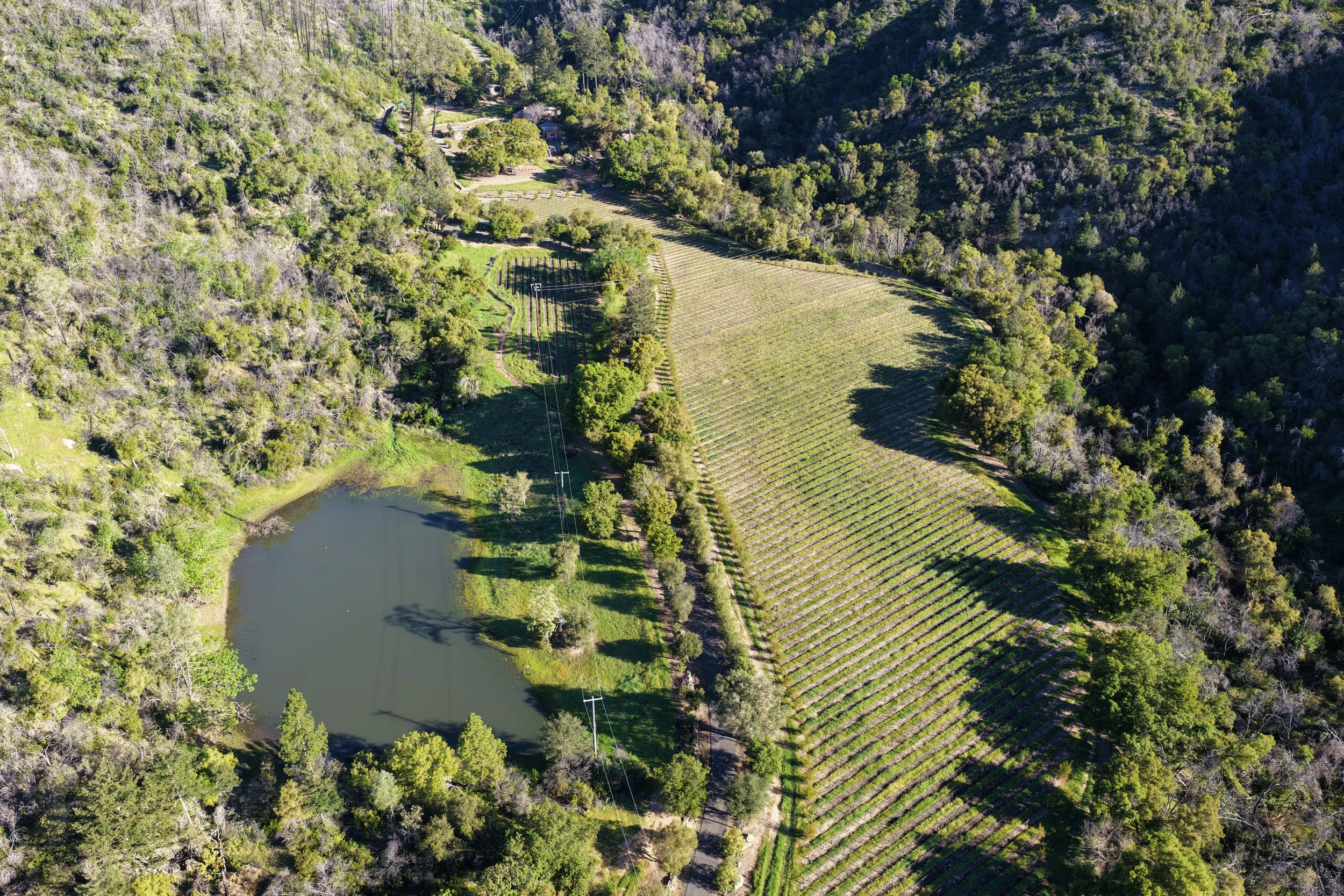 DJI_20260312092712_0057_D.JPG