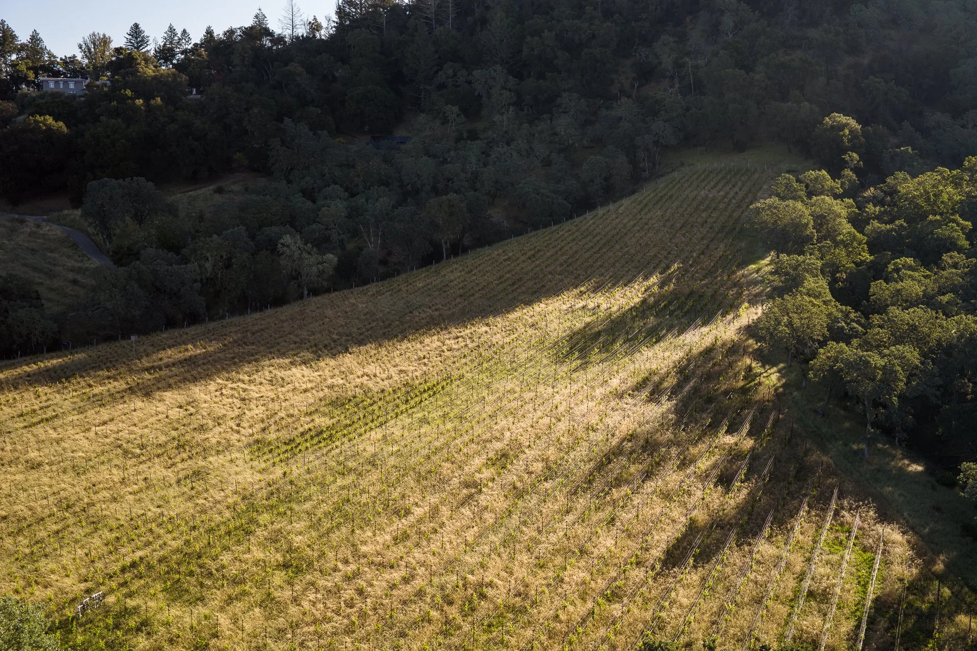 Lucero_Group_13414_Chalk_Hill_Rd-150.jpg