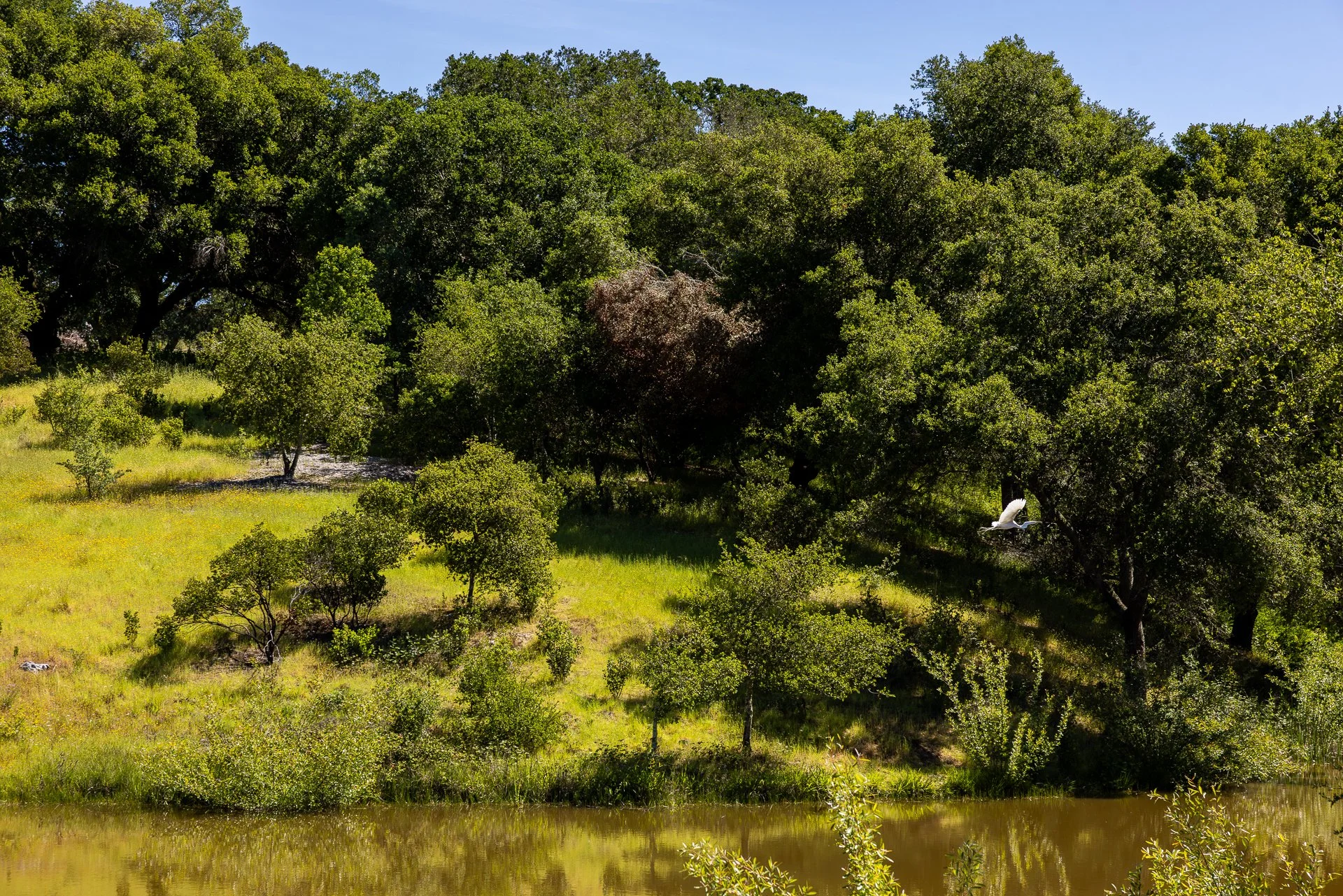 Lucero_Group_13414_Chalk_Hill_Rd-89.jpg
