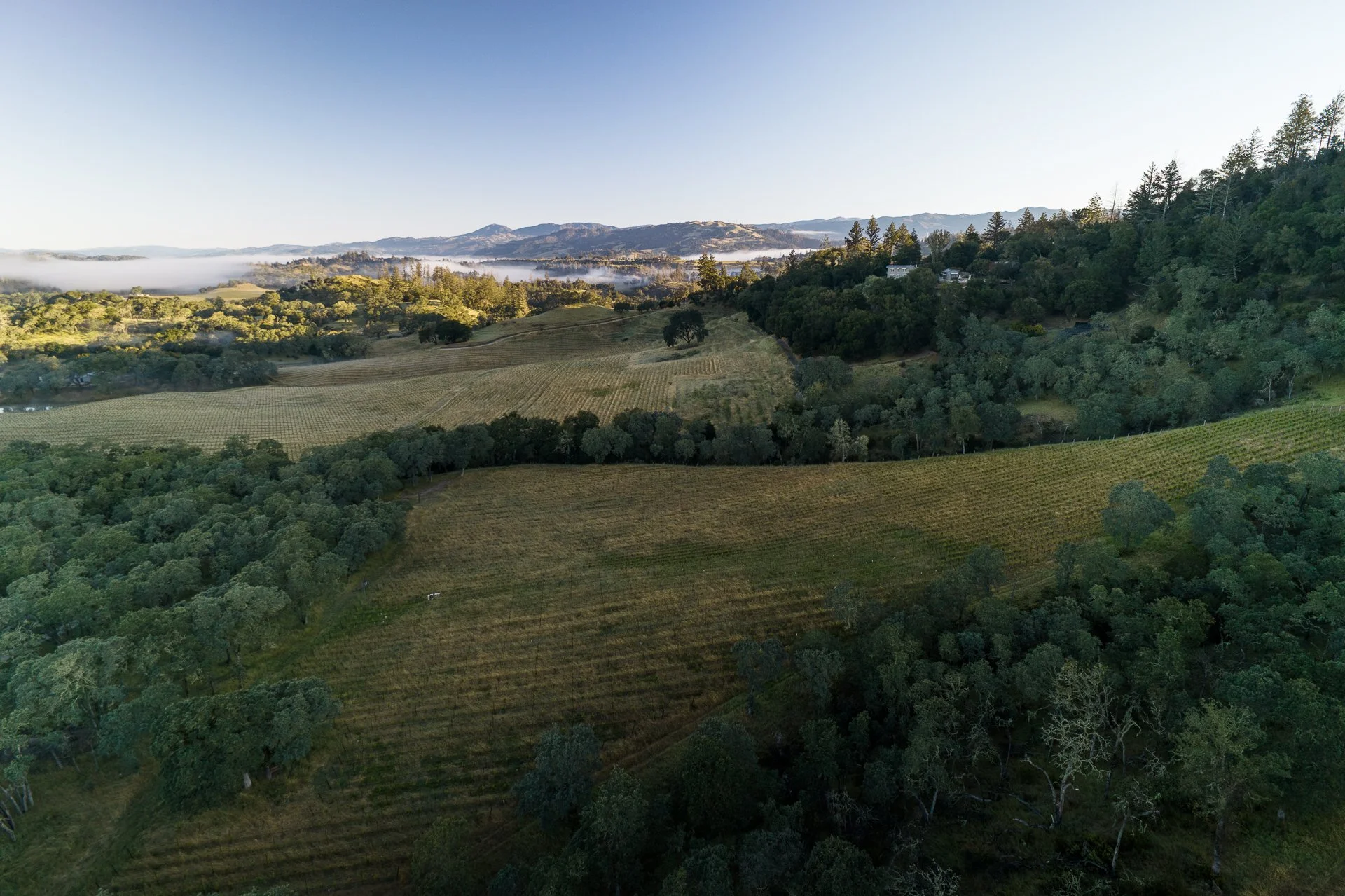 Lucero_Group_13414_Chalk_Hill_Rd-120.jpg