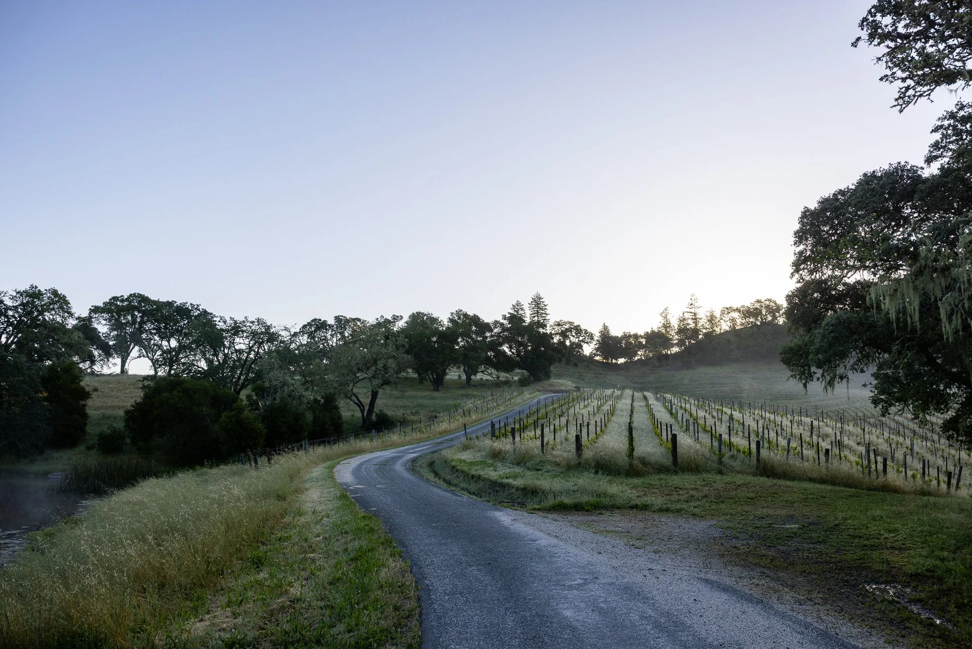 Lucero_Group_13414_Chalk_Hill_Rd-11.jpg