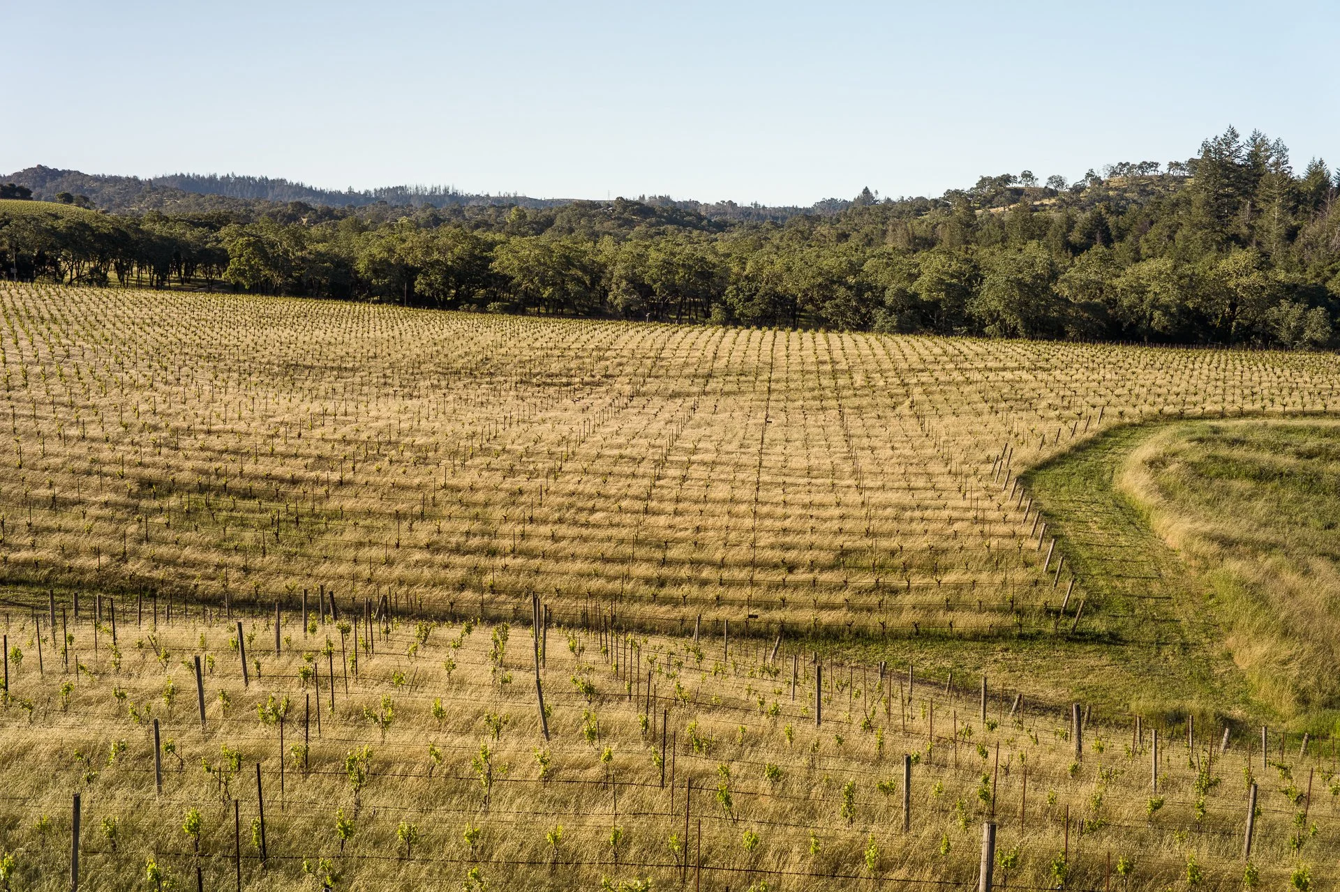 Lucero_Group_13414_Chalk_Hill_Rd-141.jpg