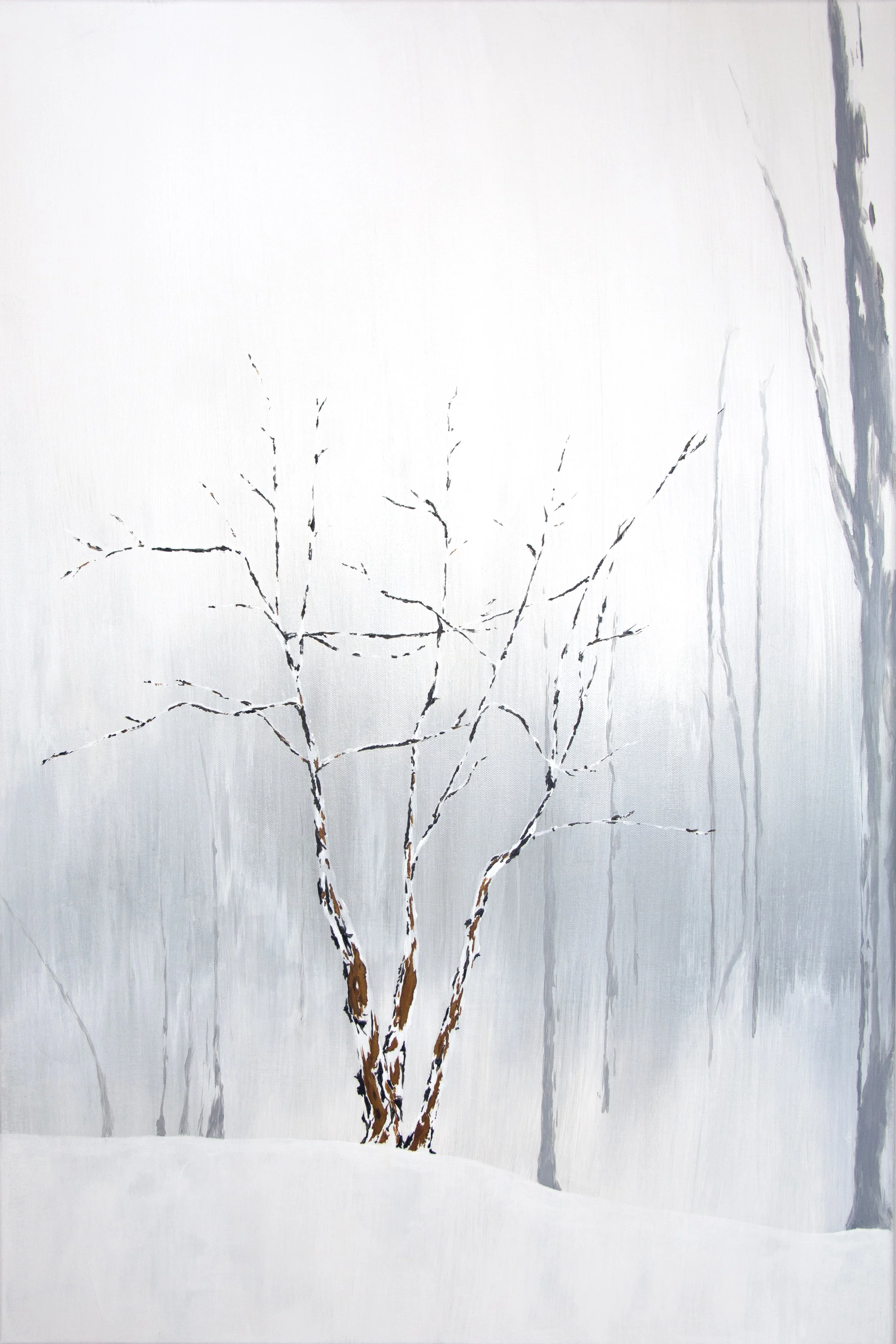 Reveal - © 2026 ArtPrize Entry