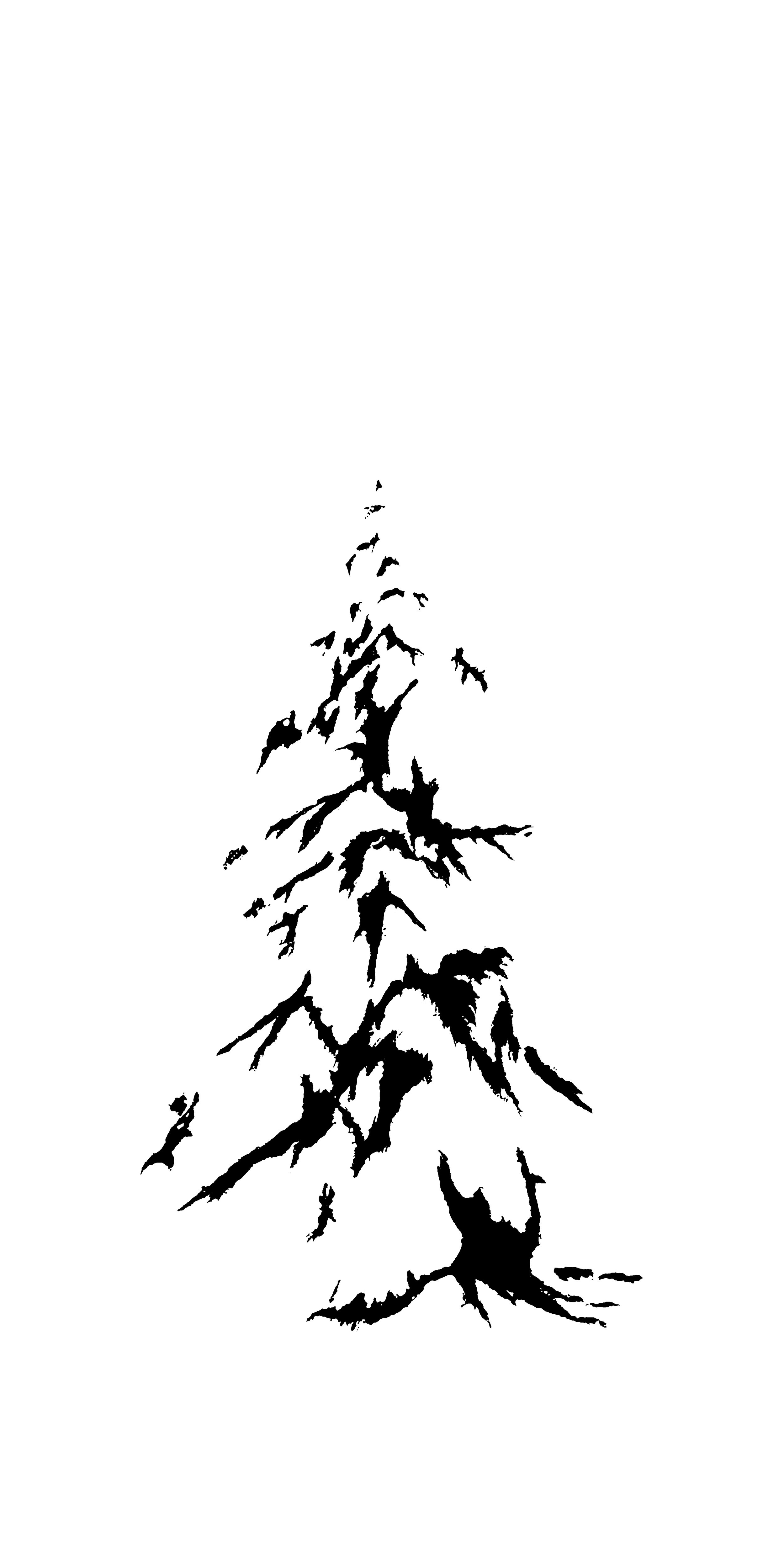 WinterPineMedium_1by2.jpg
