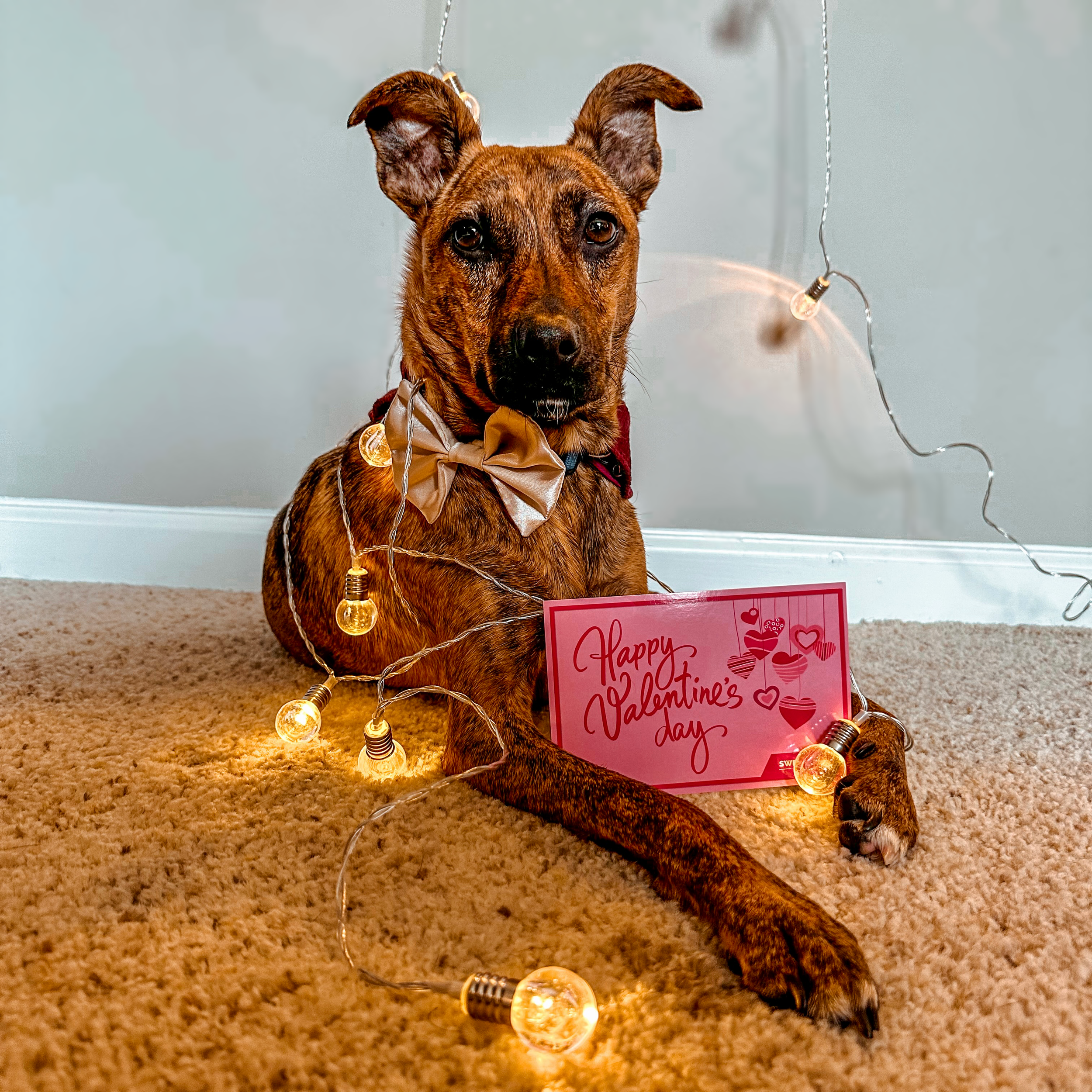 Happy Valentine’s Day