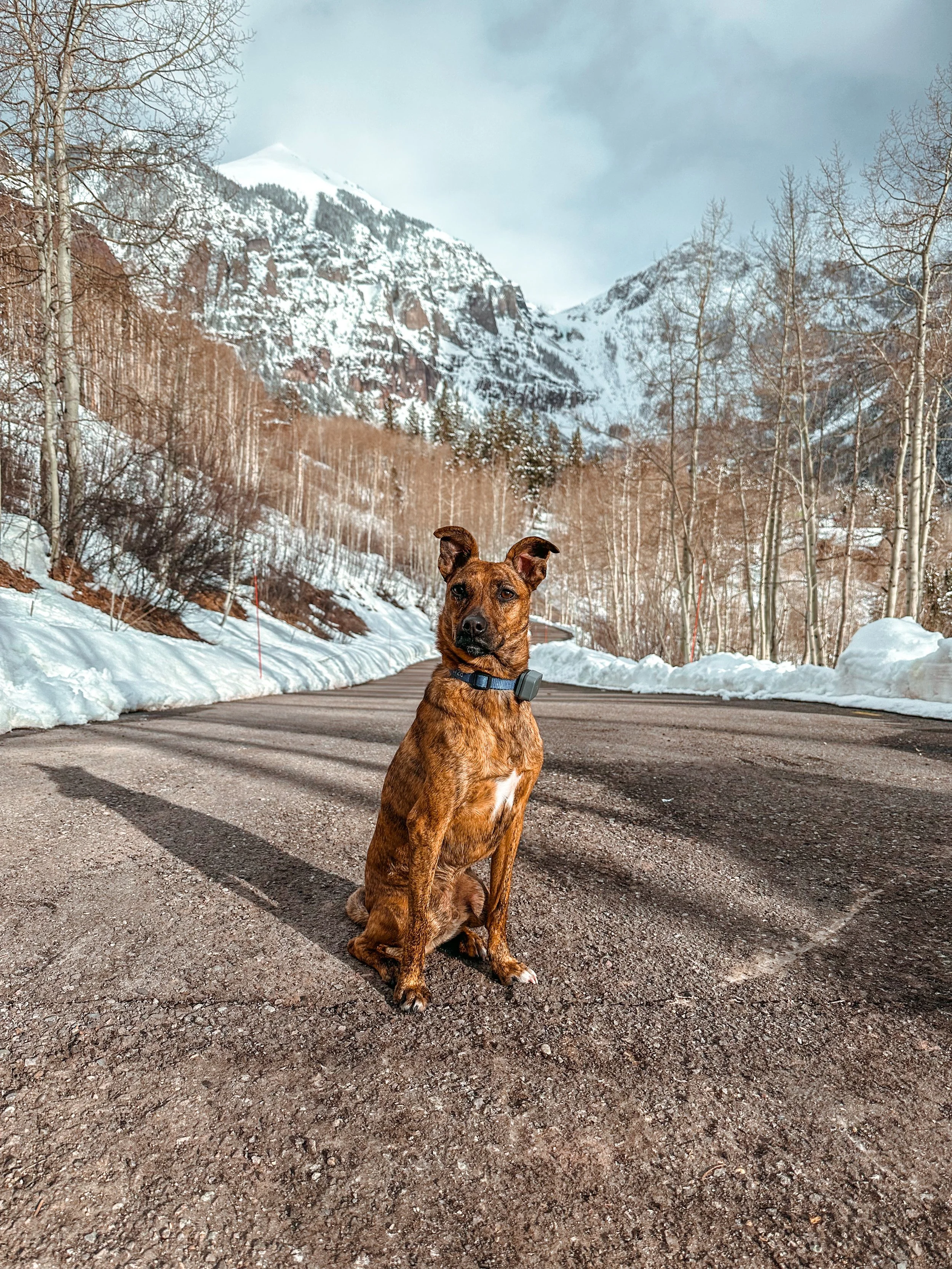 10 Days in Colorado