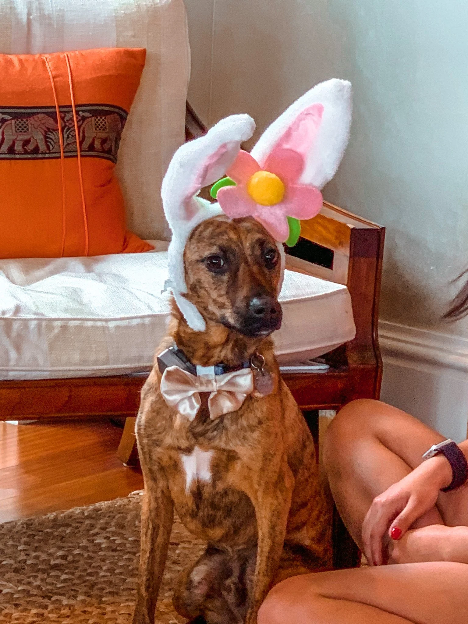 Easter Week in Florida
