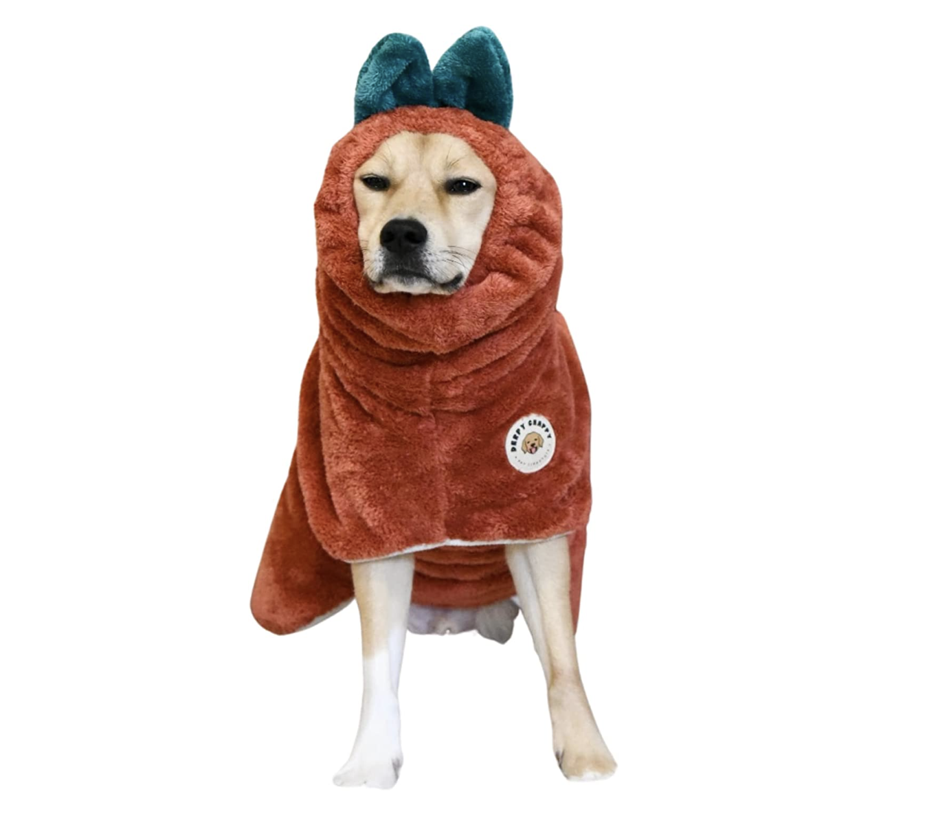 DerpyChappy Dog Robe Towel