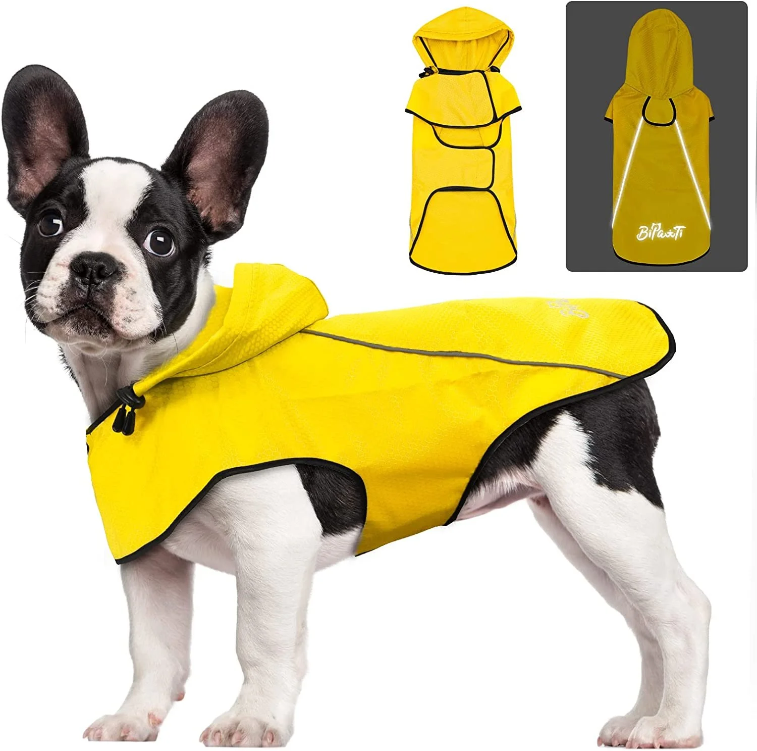 BiPawTi Rain Coat