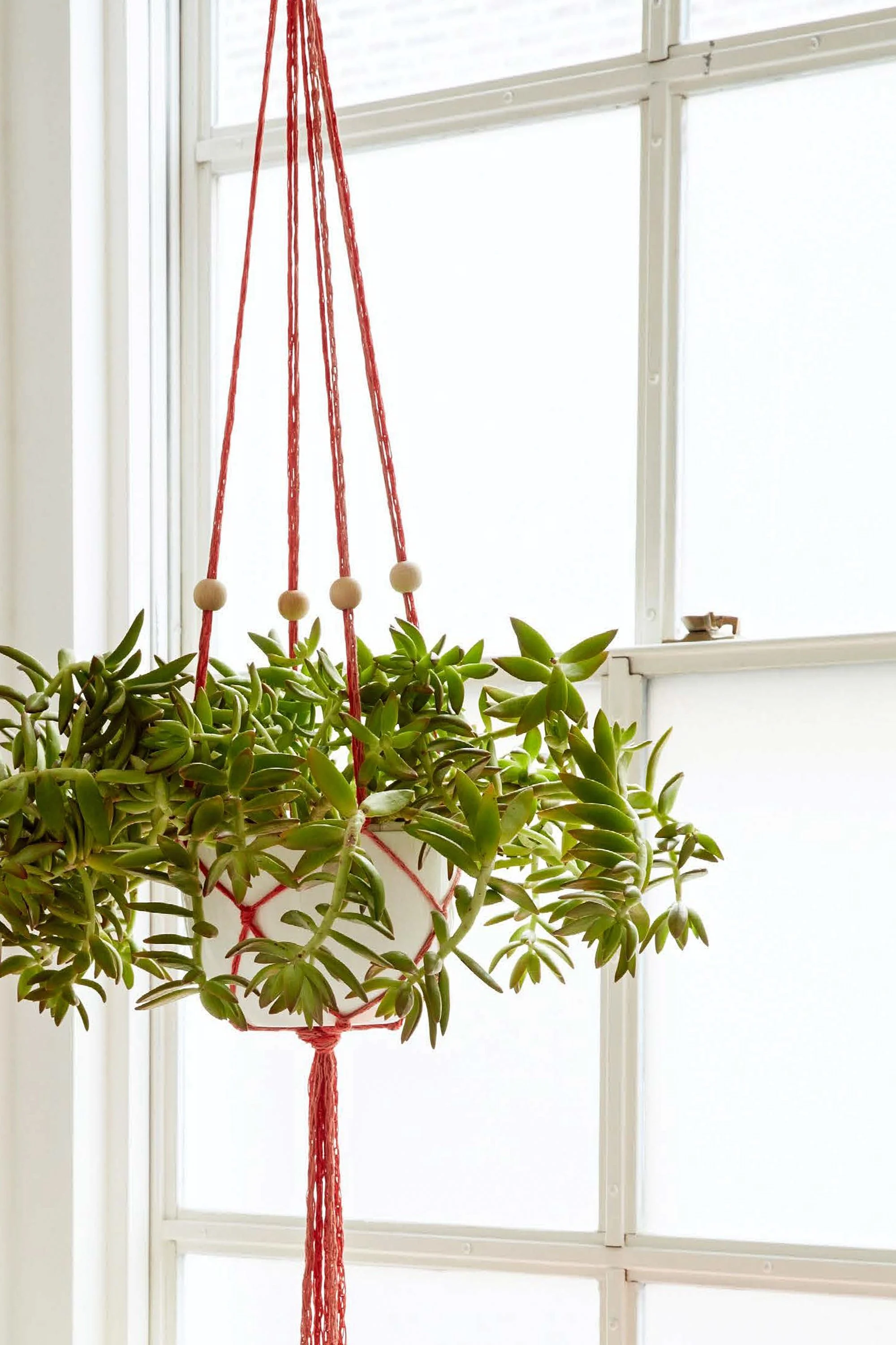 Anne Weil’s Finger Knit Hanging Plant Holder