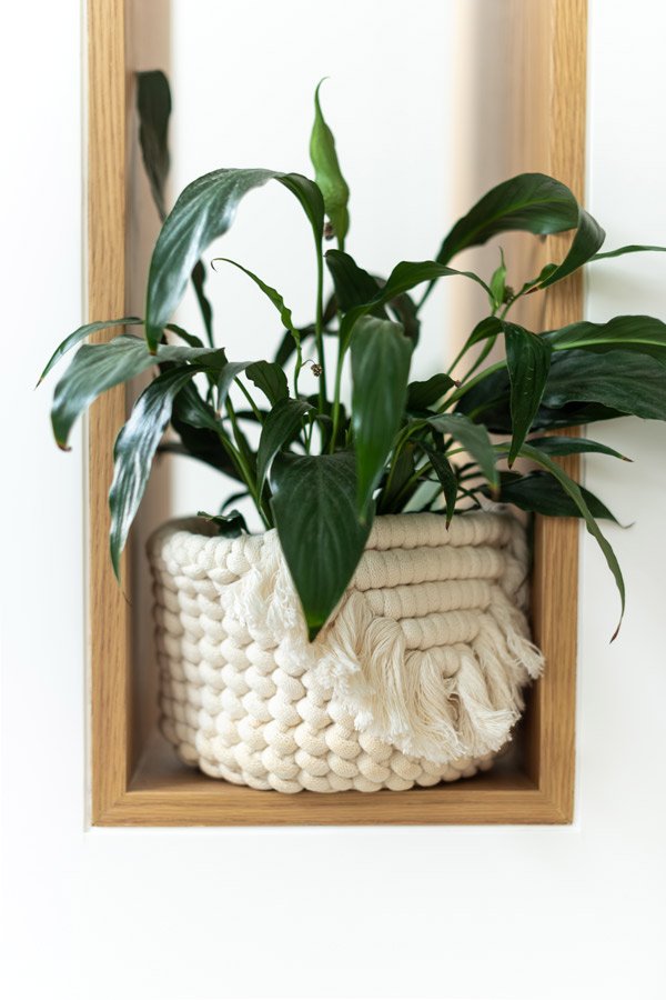 Patterns Macramé