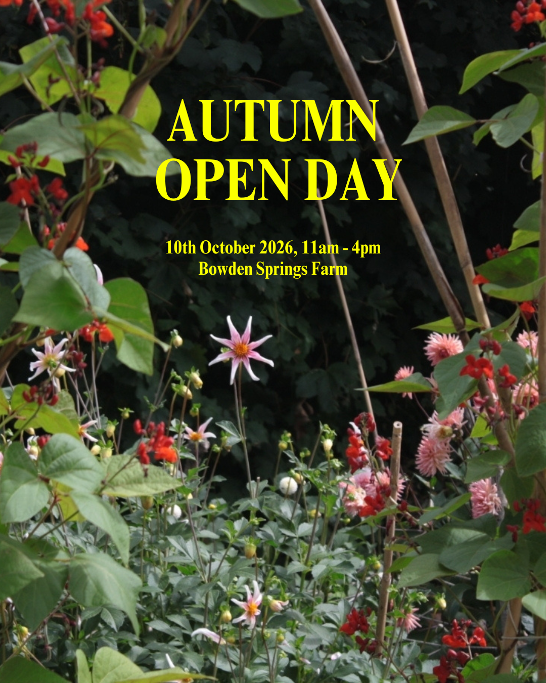 Open Day 