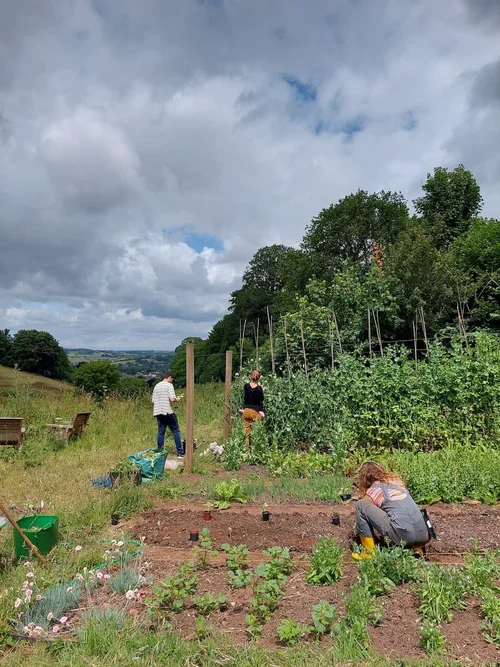 About Us — Bowden Springs Farm
