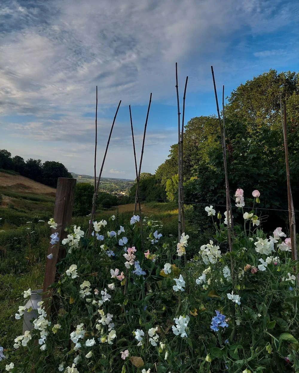 About Us — Bowden Springs Farm