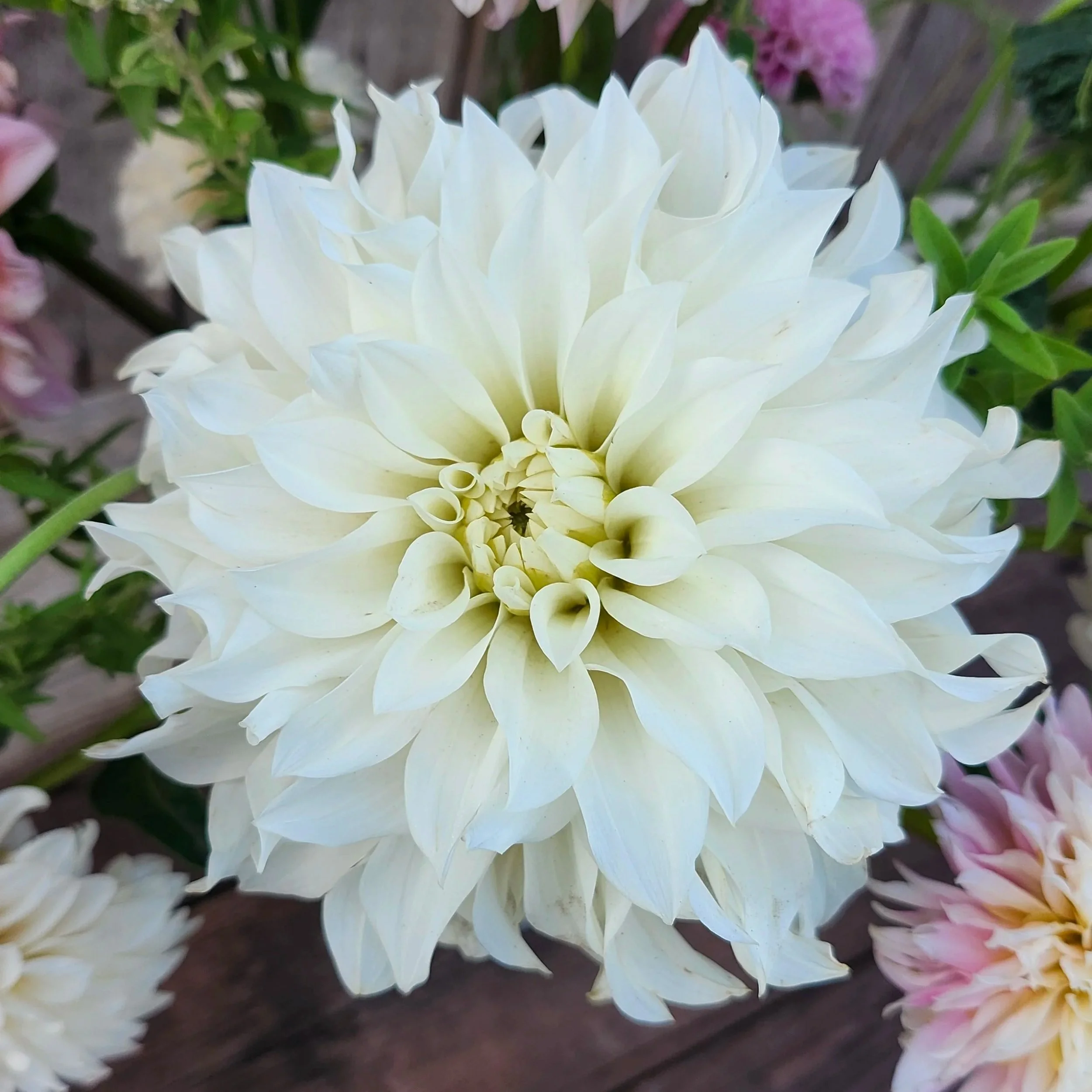 Karma Maarten Zswaan