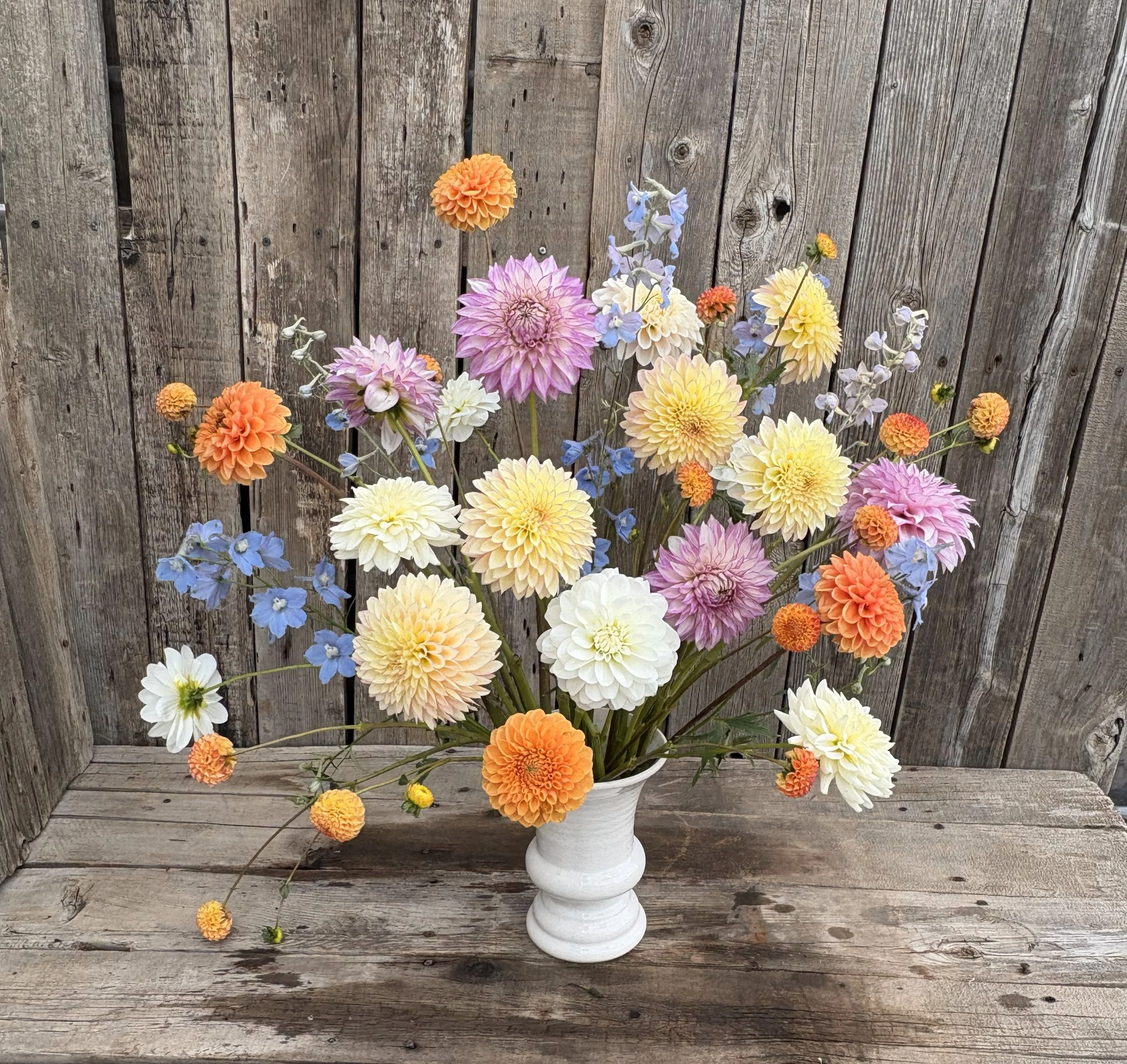 bloomquist blush, clearview debbie, maarn arrangement.jpg