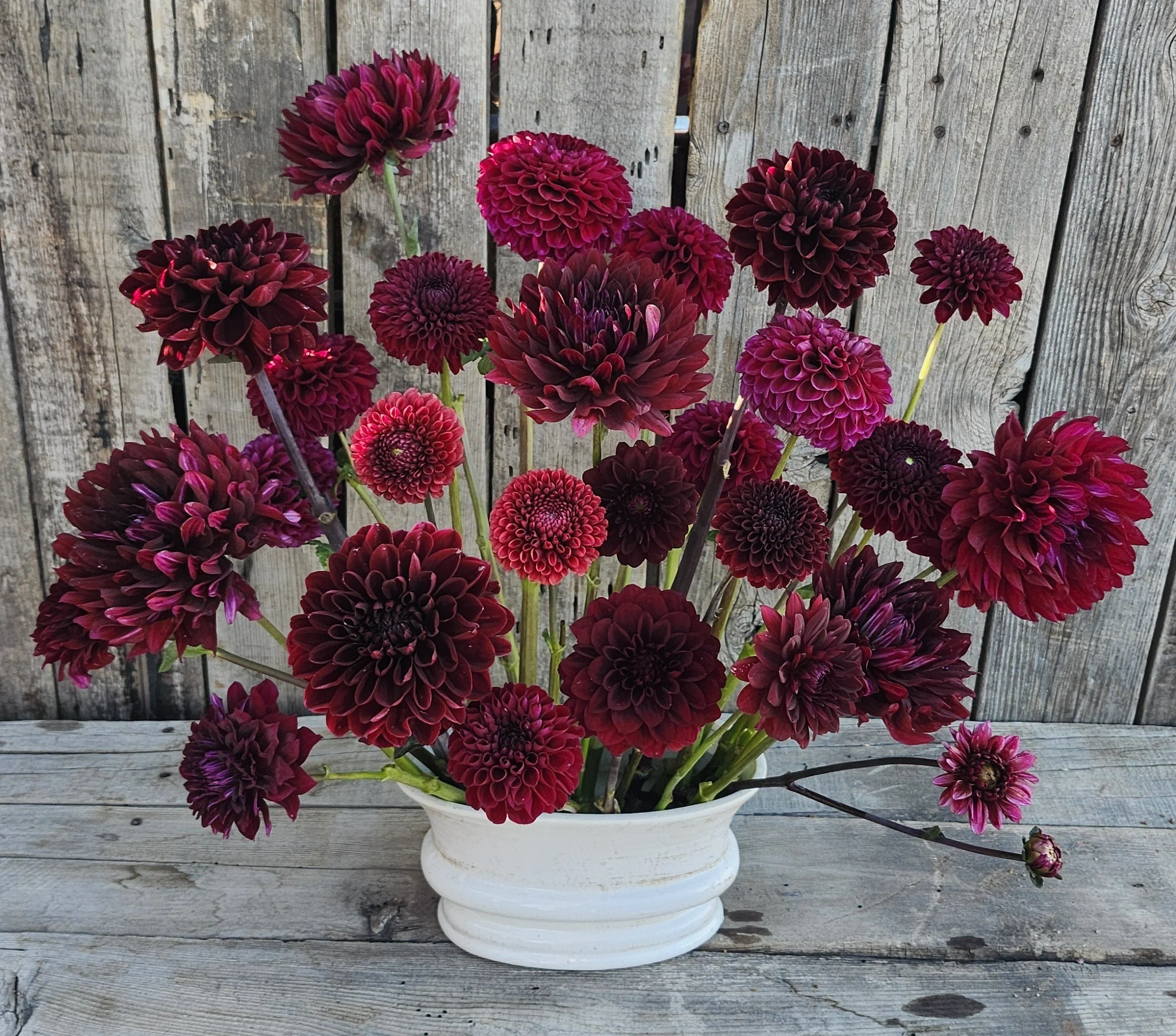 burgendy dahlias arrangement.jpg