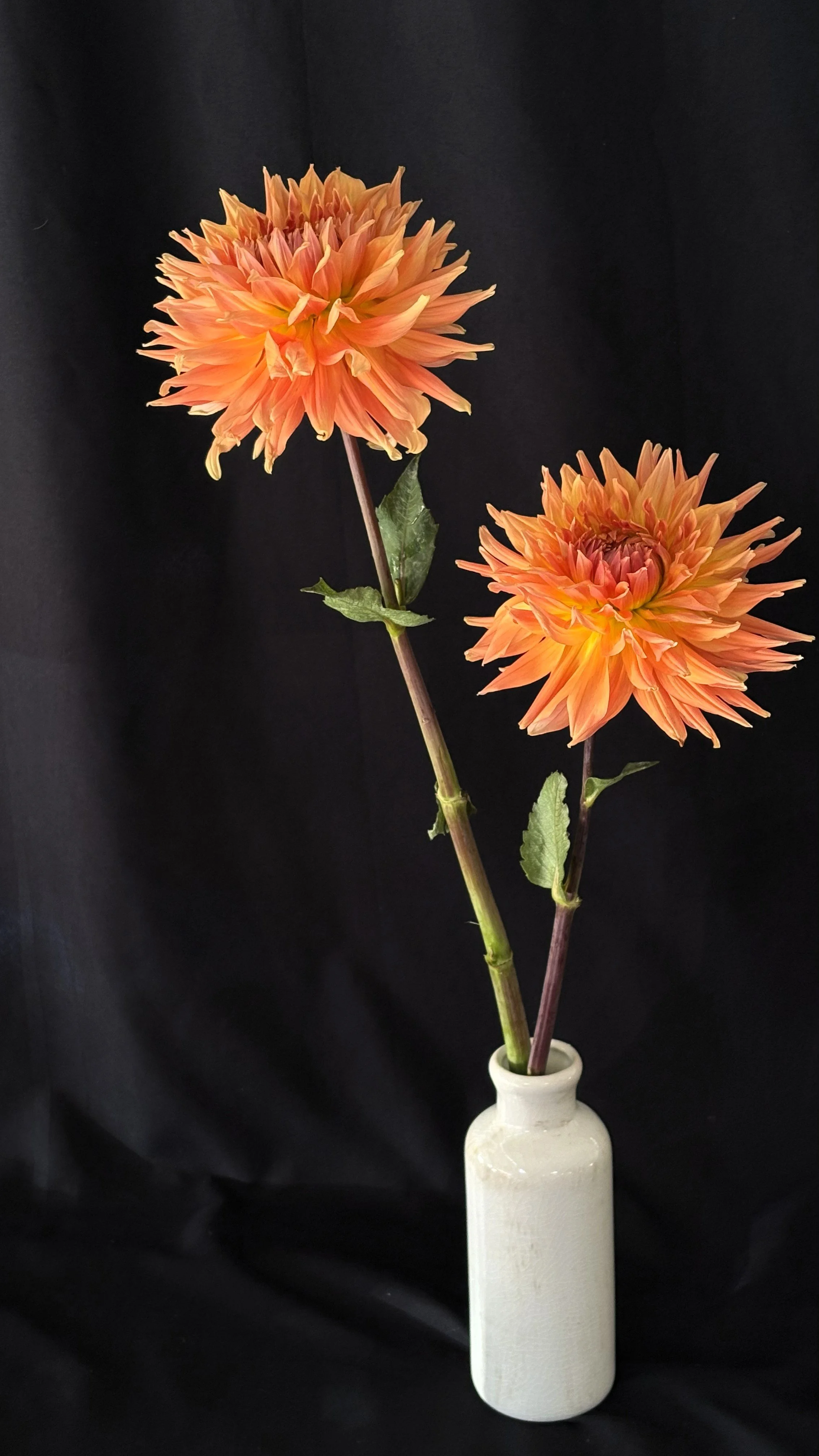 ben huston photo.jpg