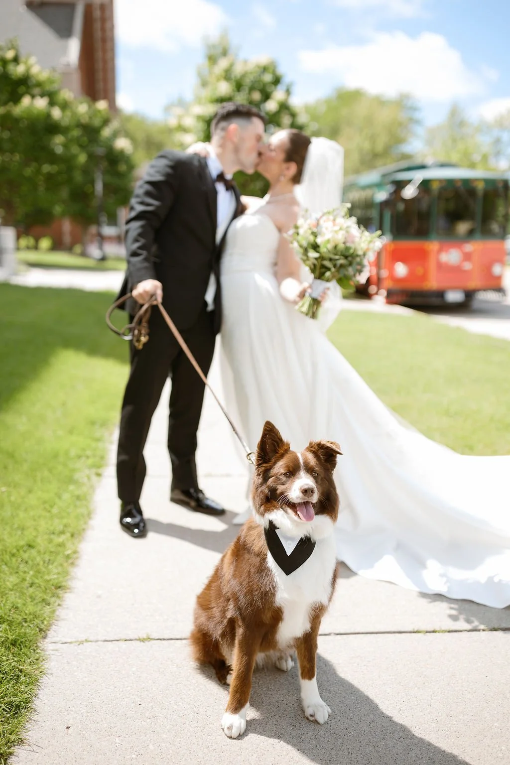 St-Norbert-Wedding-Ceremony-dog-365.jpg