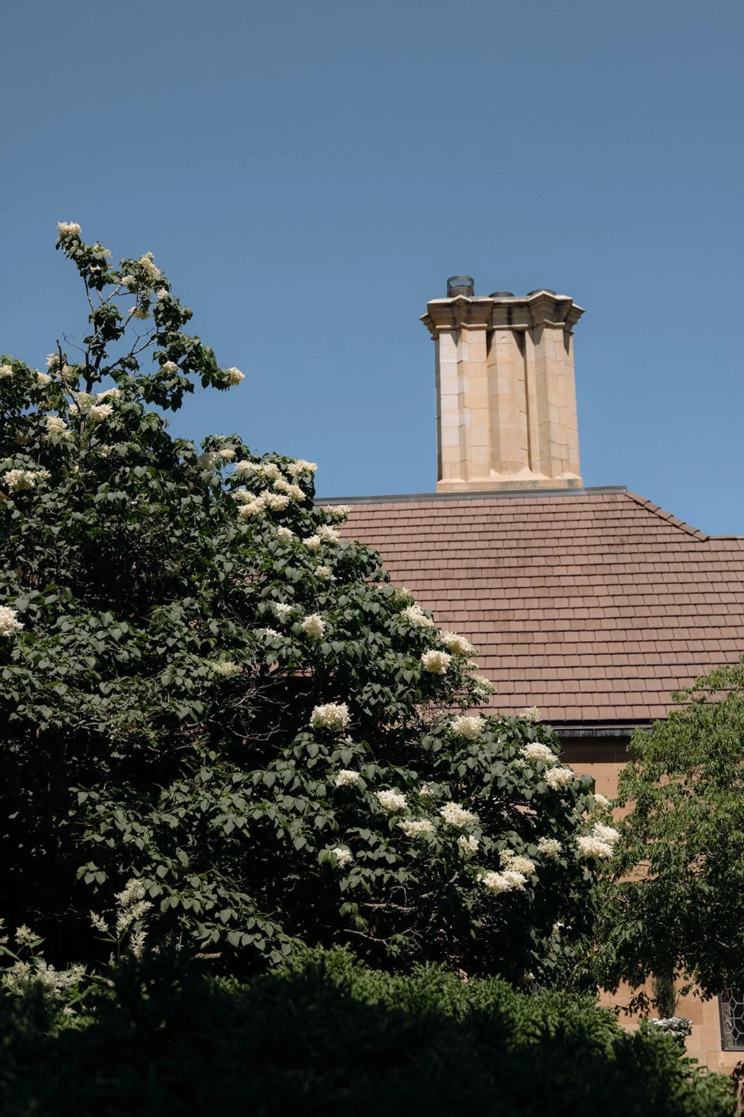 paine-art-center-wedding-exterior-2.jpg