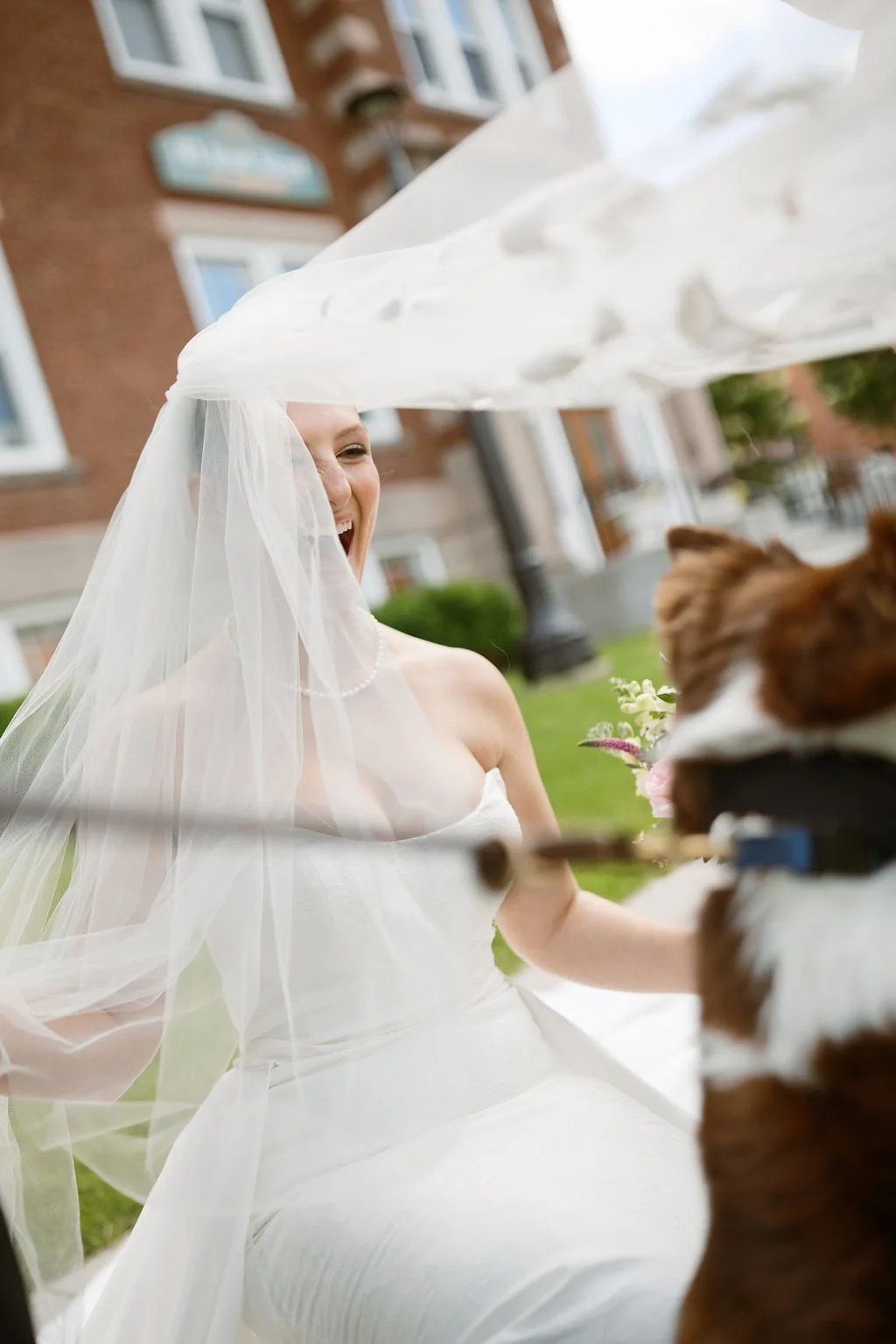 St-Norbert-Wedding-Ceremony-dog-368.jpg