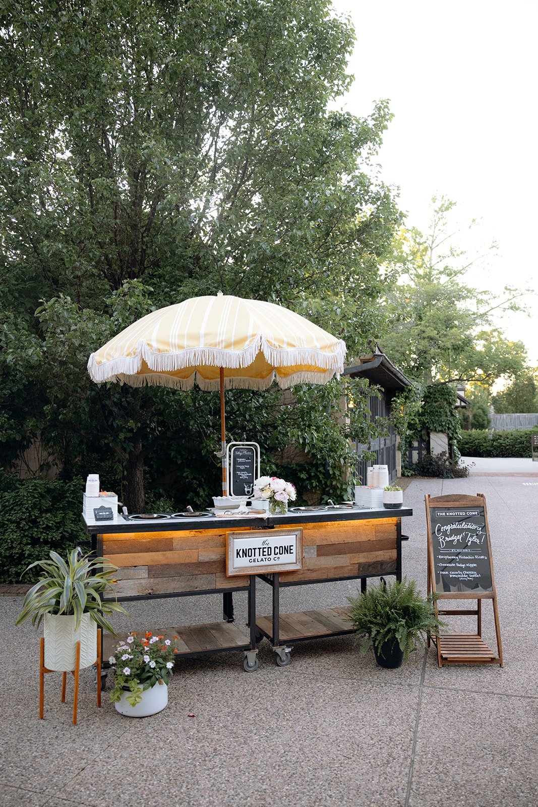 the-knotted-cone-paine-wedding.jpg