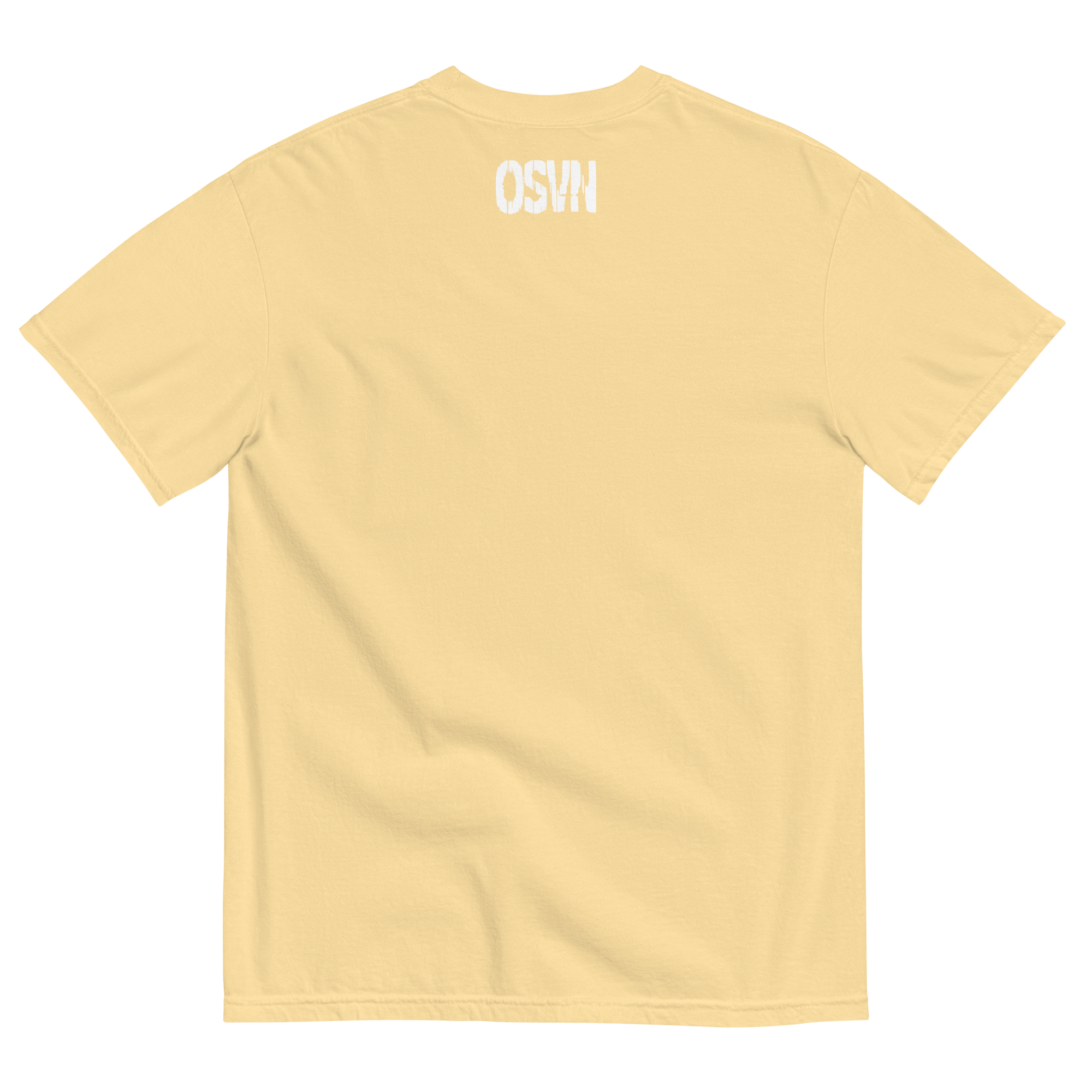 mens-garment-dyed-heavyweight-t-shirt-butter-back-649b452bf0808.png