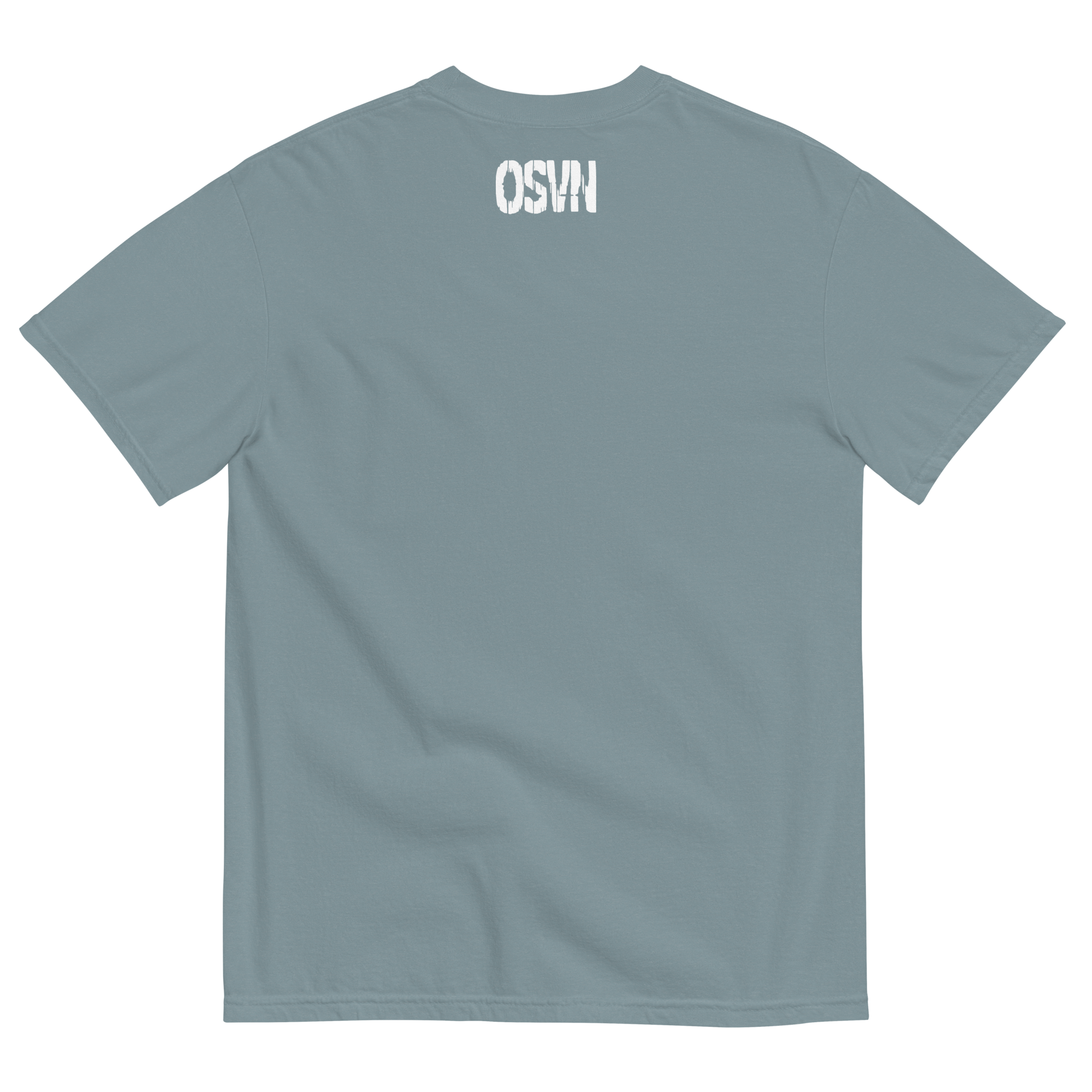 mens-garment-dyed-heavyweight-t-shirt-ice-blue-back-649b454f37db1.png