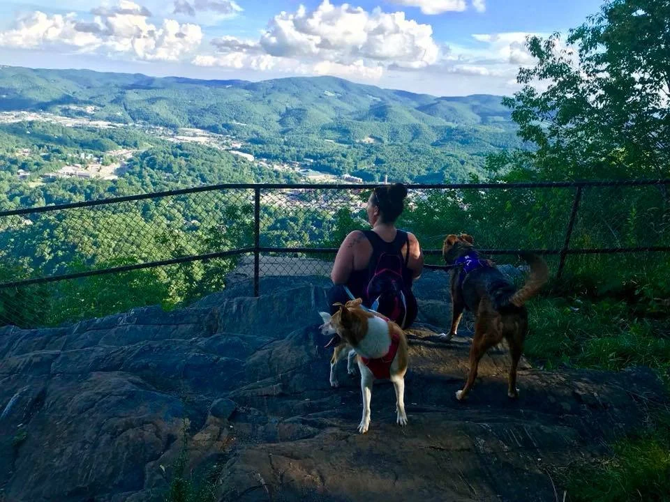 A woman sitting on a large rock with two dogs, overlooking a valley and mountain landscape under a partly cloudy sky.