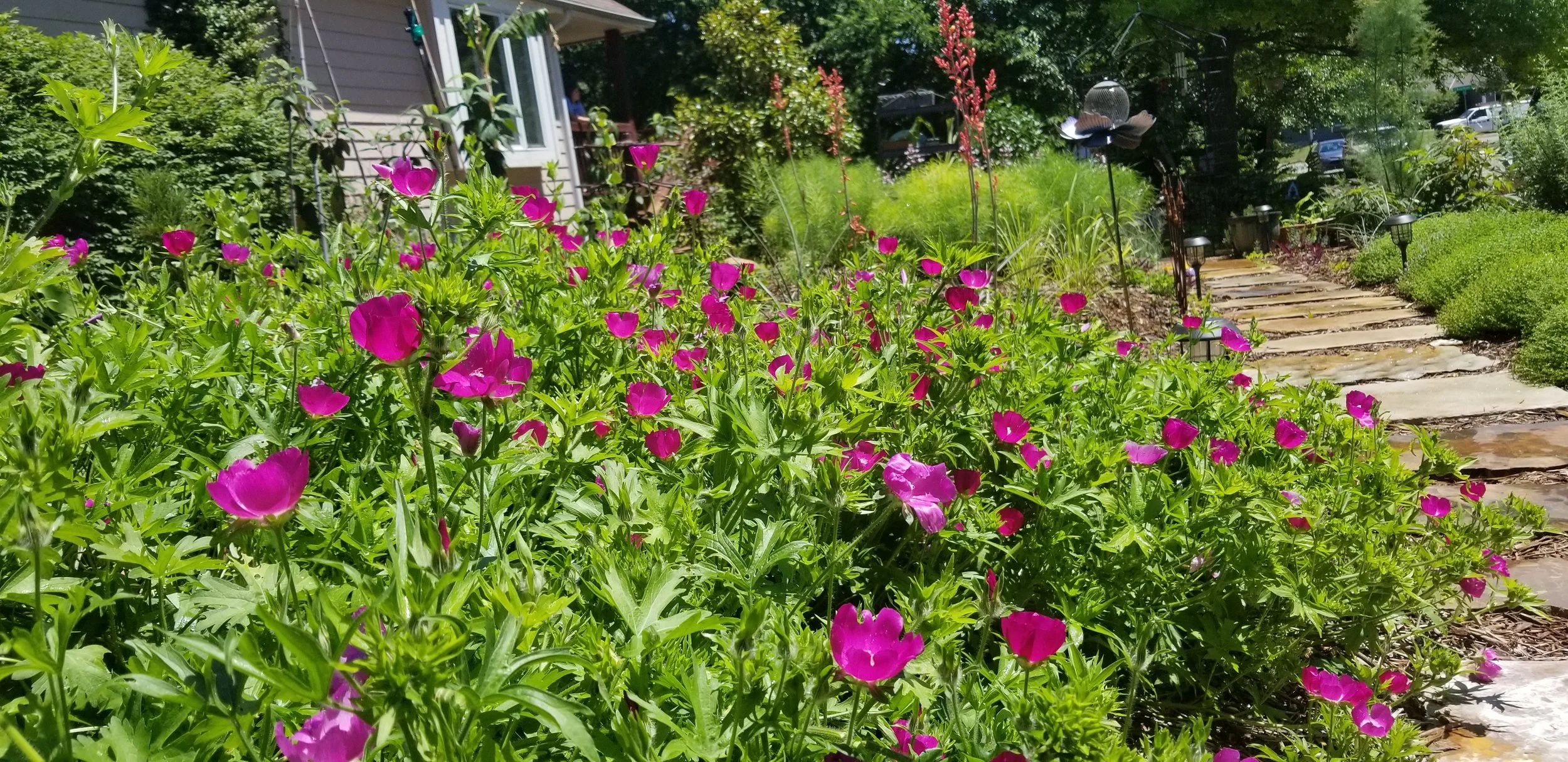 20180601_125153.jpg