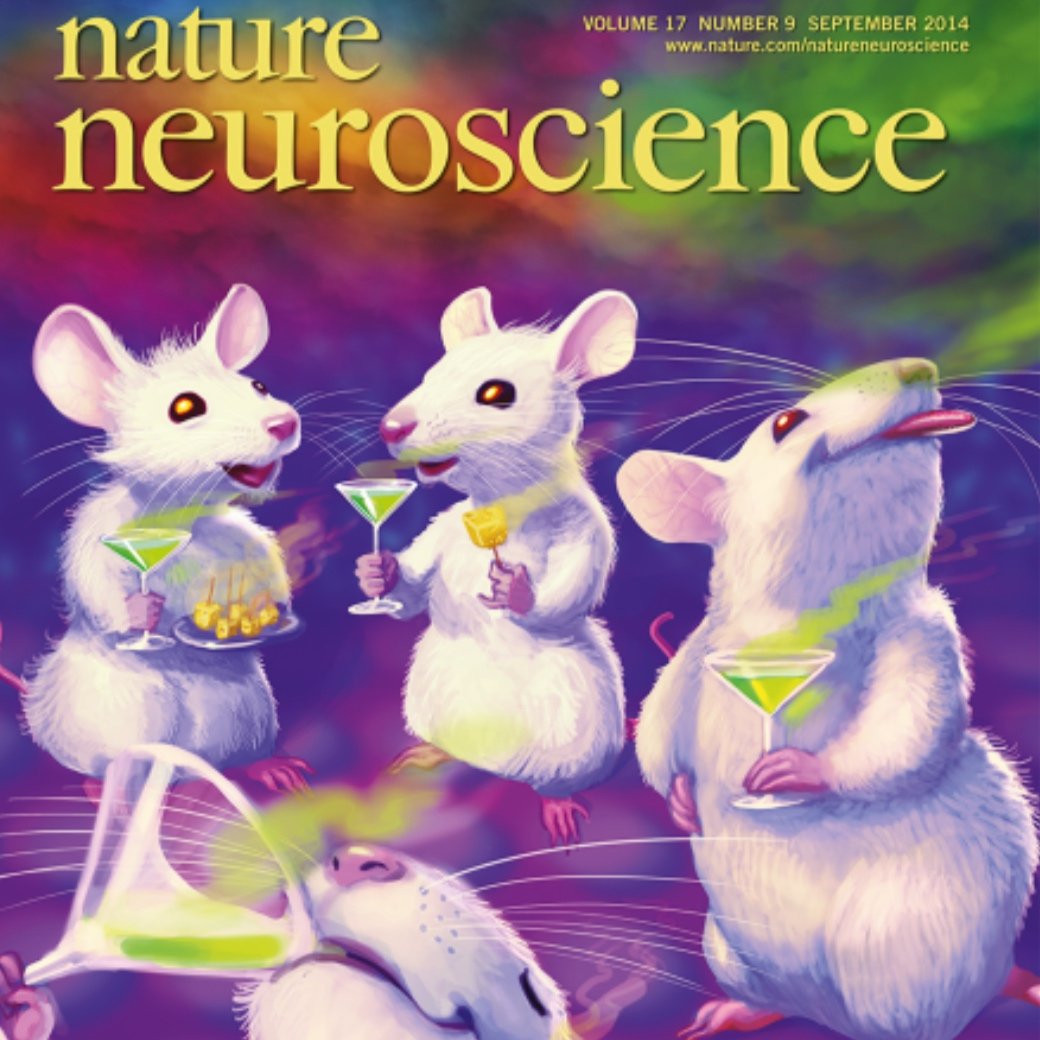 GABAergic parafacial zone is a medullary slow–wave–sleep promoting center