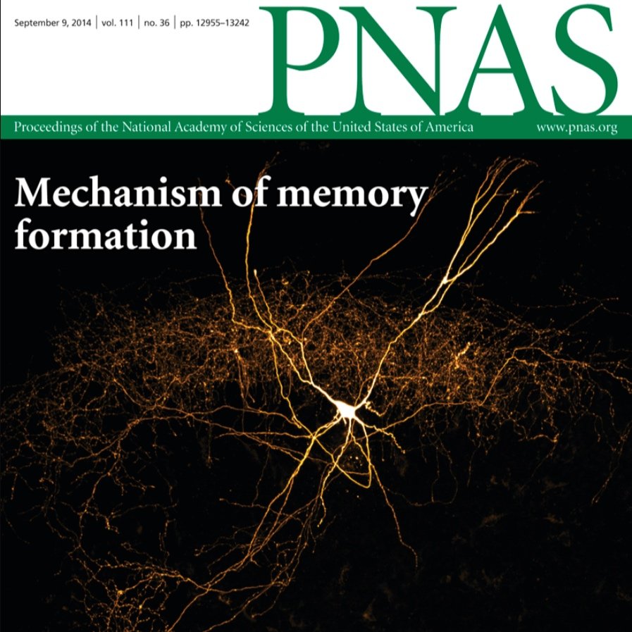 MC4R-expressing glutamatergic neurons in the paraventricular hypothalamus regulate feeding and are synaptically connected to the parabrachial nucleus