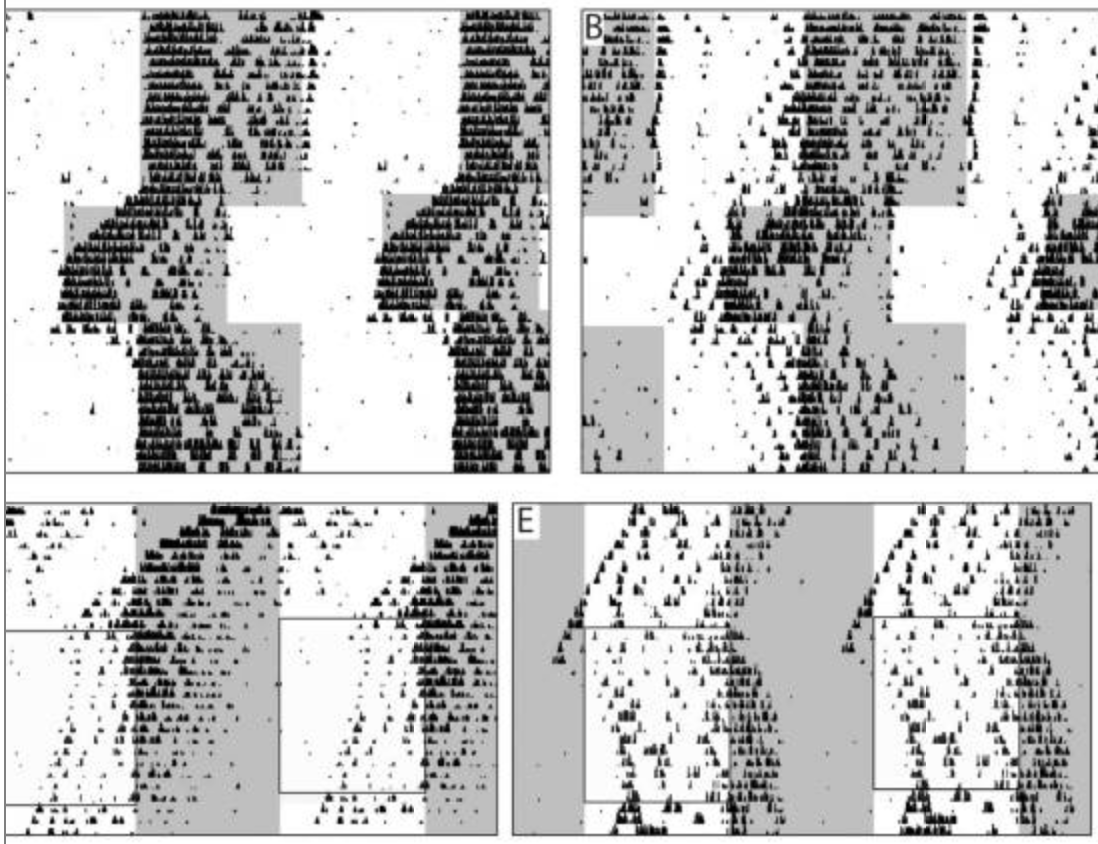 Impaired circadian photosensitivity in mice lacking glutamate transmission from retinal melanopsin cells