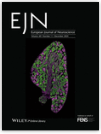 GABAergic signalling in the suprachiasmatic nucleus is required for coherent circadian rhythmicity