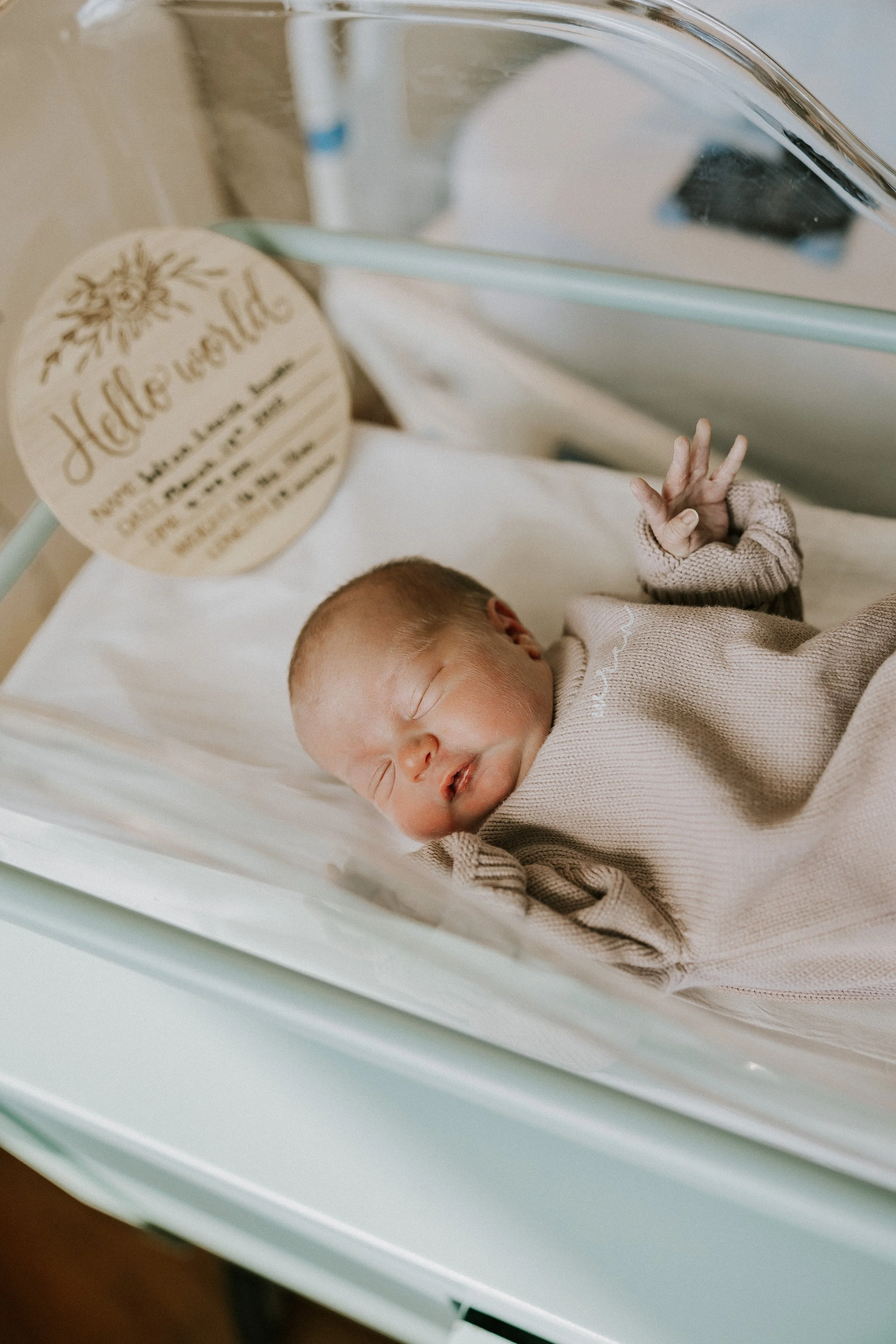 wrennewborn-59.jpg