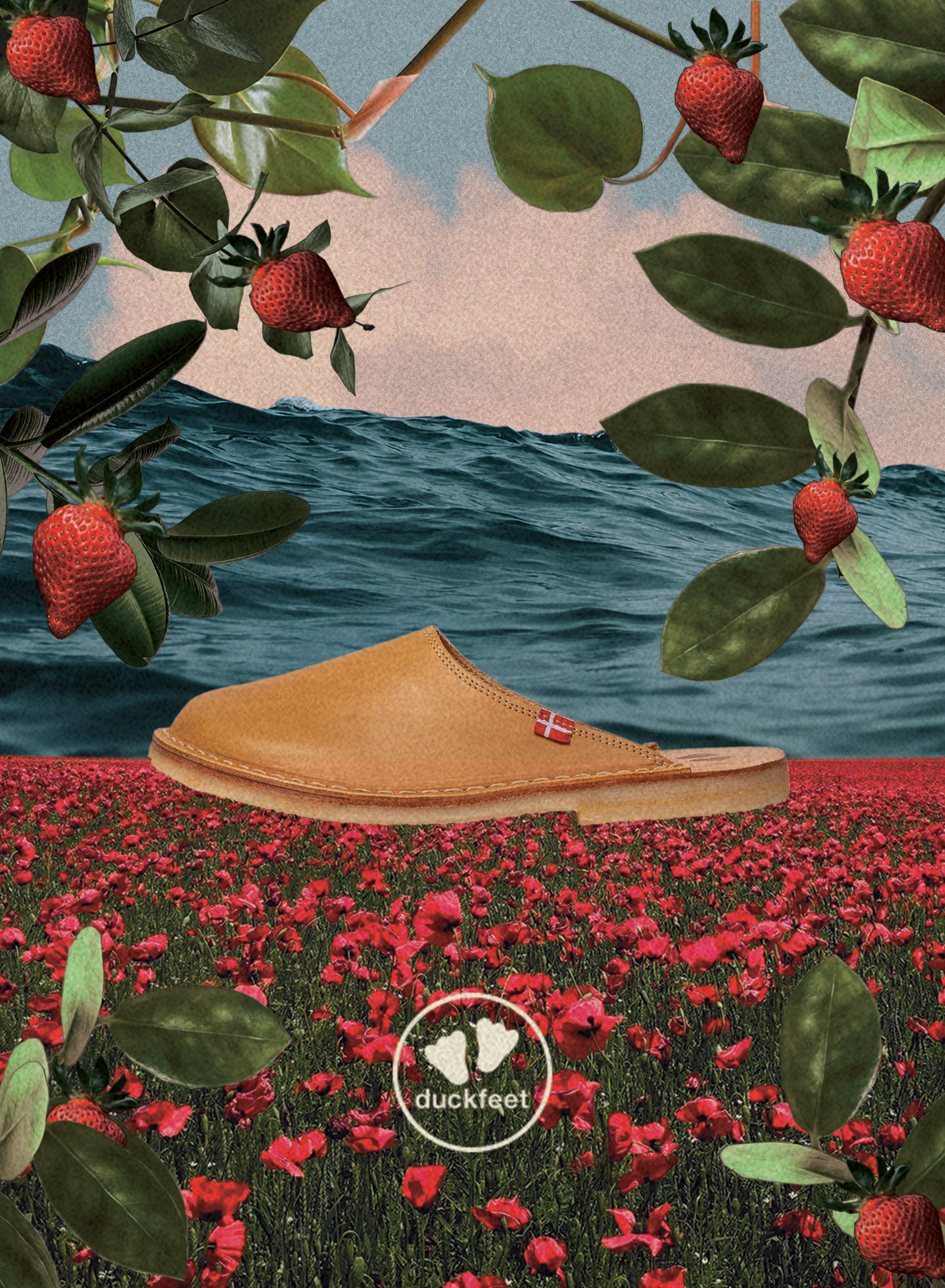 Poster for Duckfeet USA