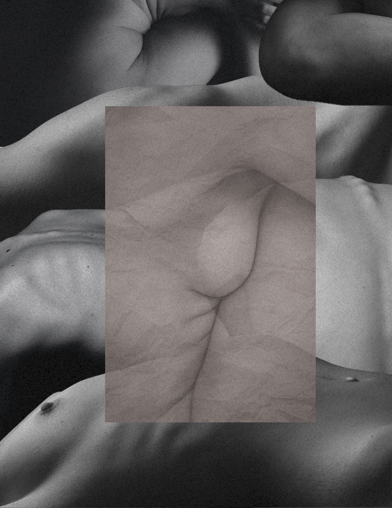 "Body"