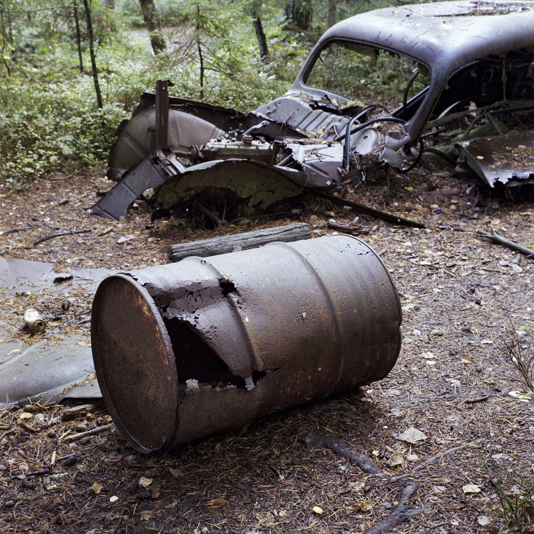 2026-09 The Junkyard Kodak Gold 200 04.jpg
