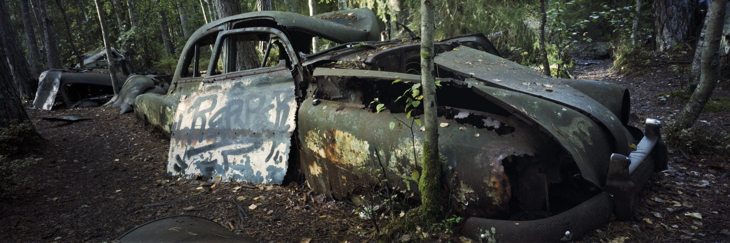 202609 The Junkyard Kodak Gold 200 (1).jpg