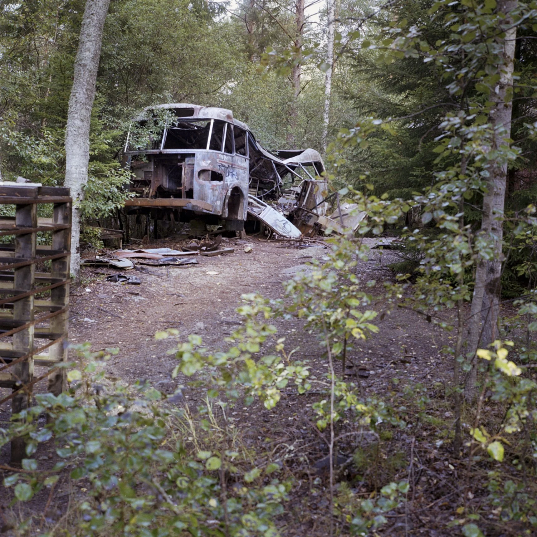 2026-09 The Junkyard Kodak Gold 200 06.jpg