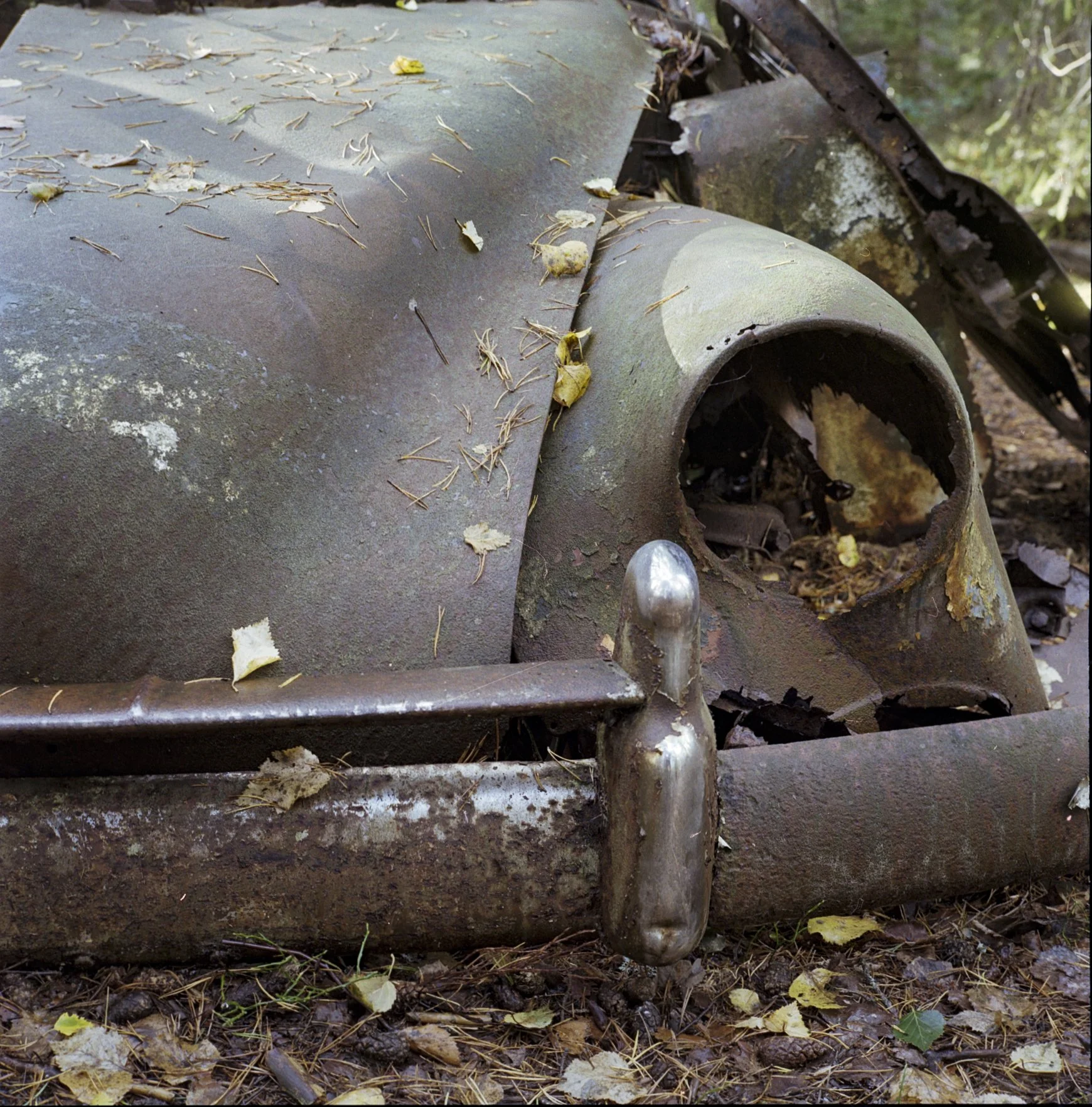 2026-09 The Junkyard Kodak Gold 200 05.jpg