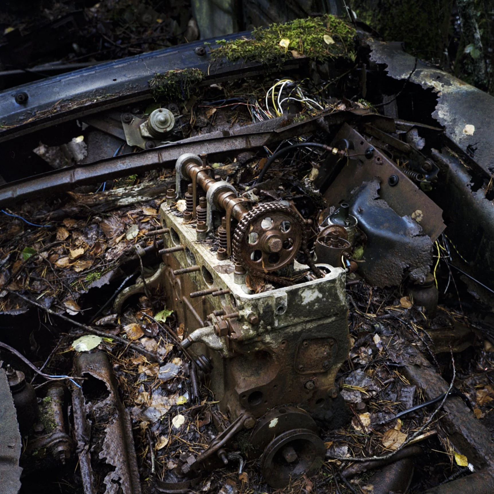 2026-09 The Junkyard Kodak Gold 200 11.jpg