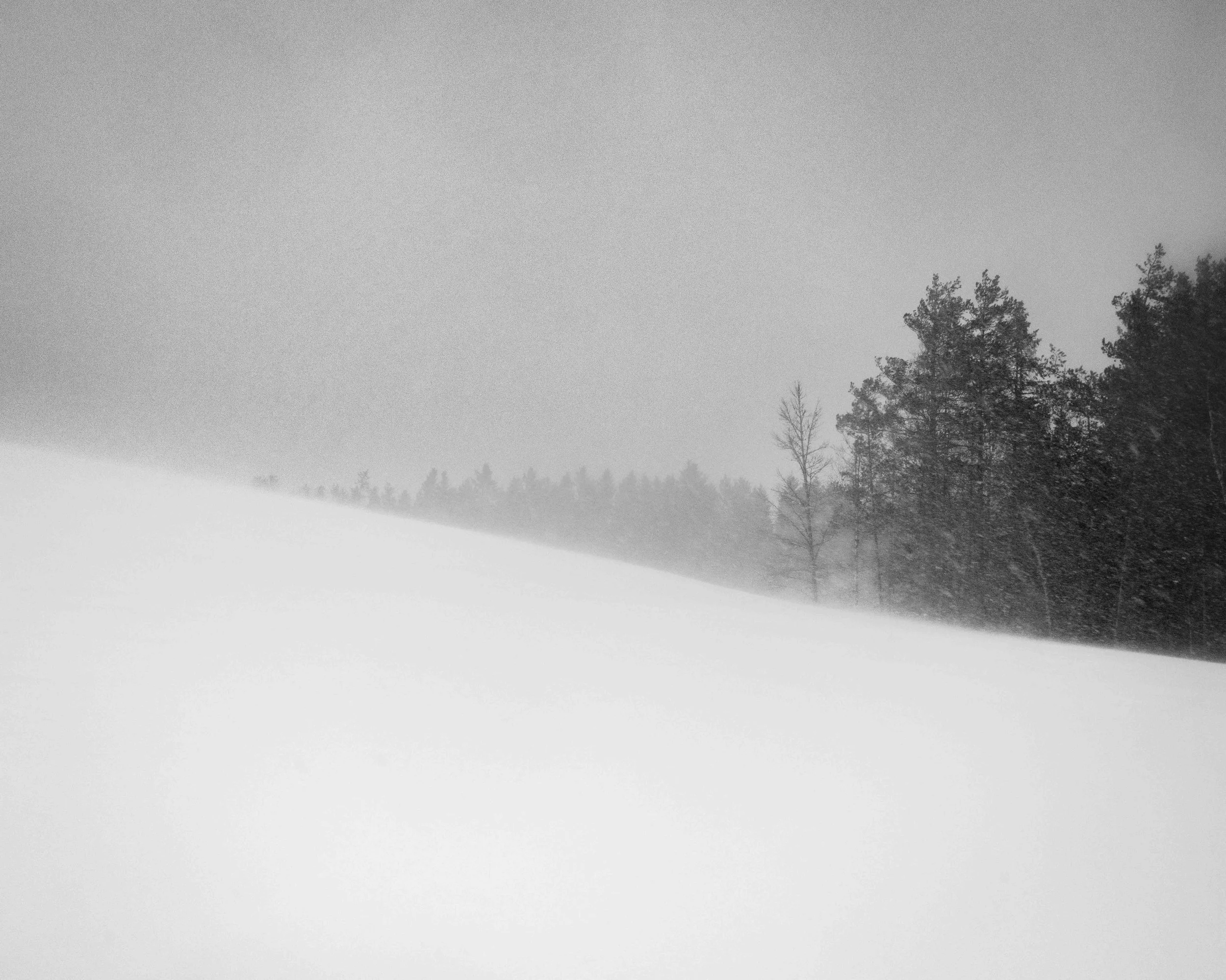 Blizzard II