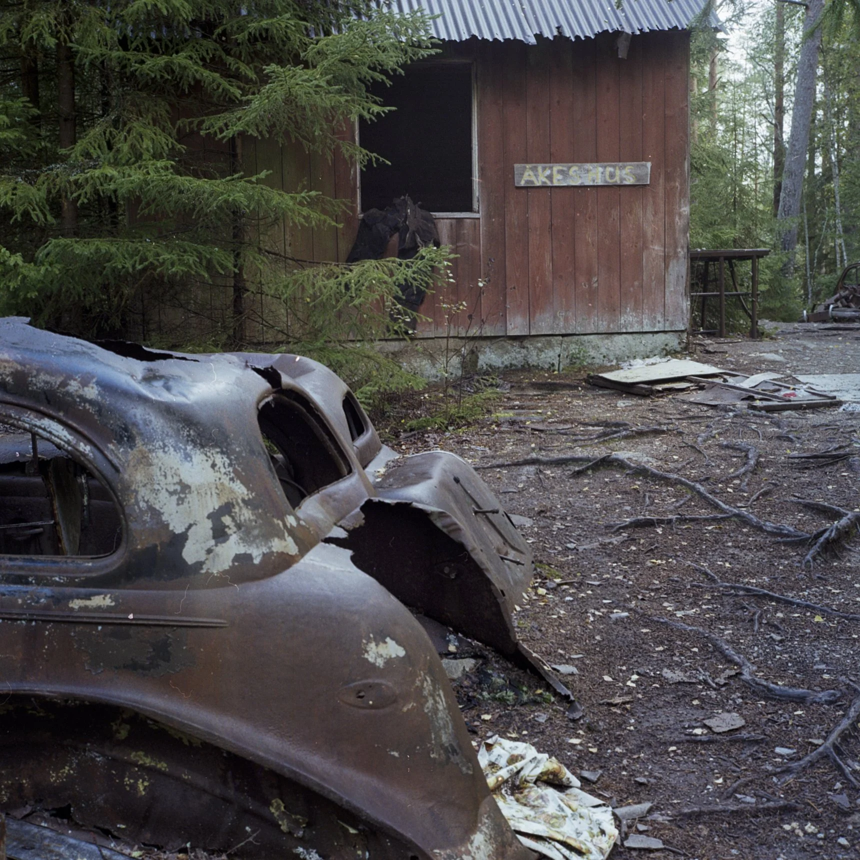 2026-09 The Junkyard Kodak Gold 200 10.jpg