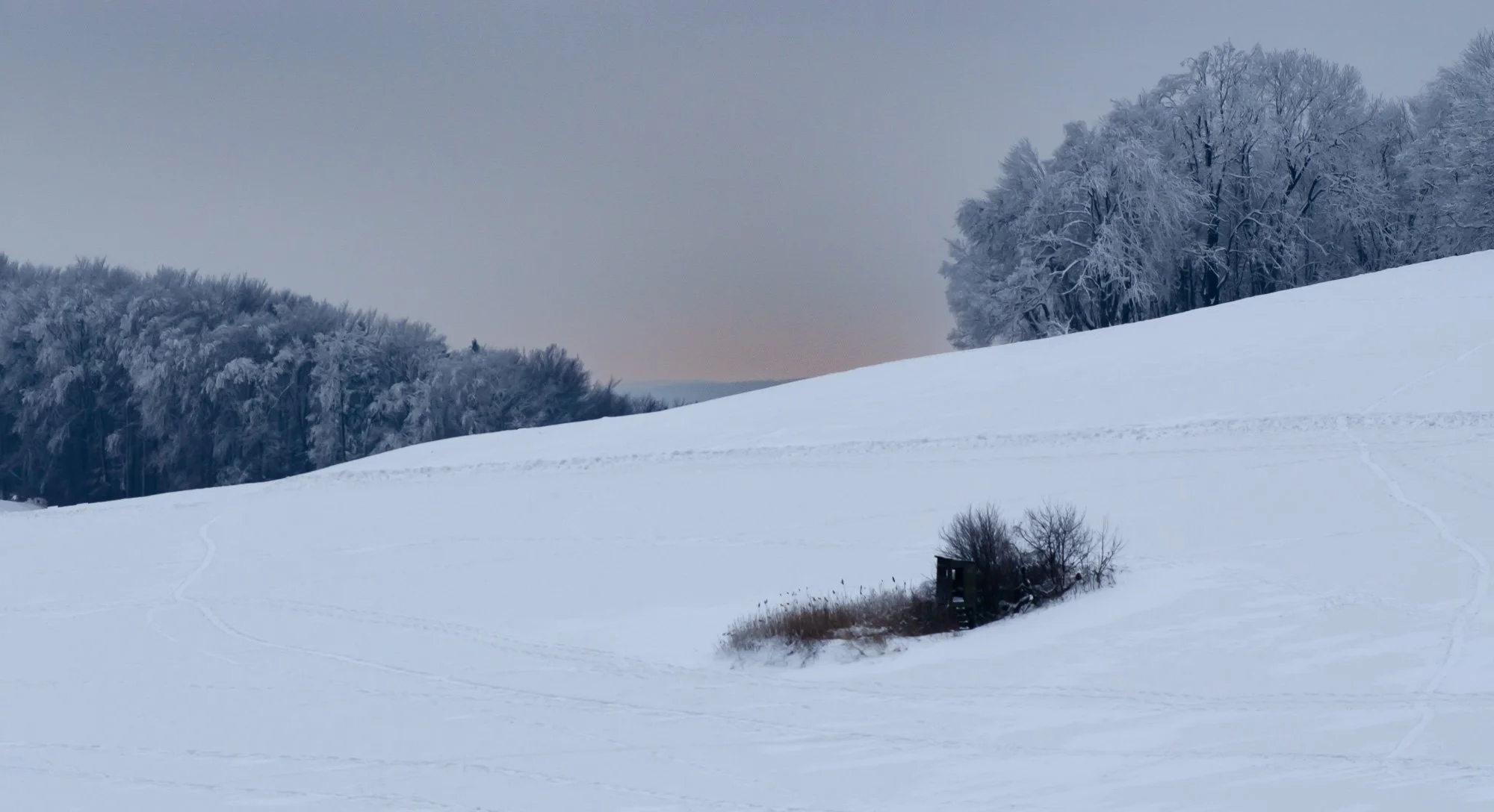 Hillside Sunset