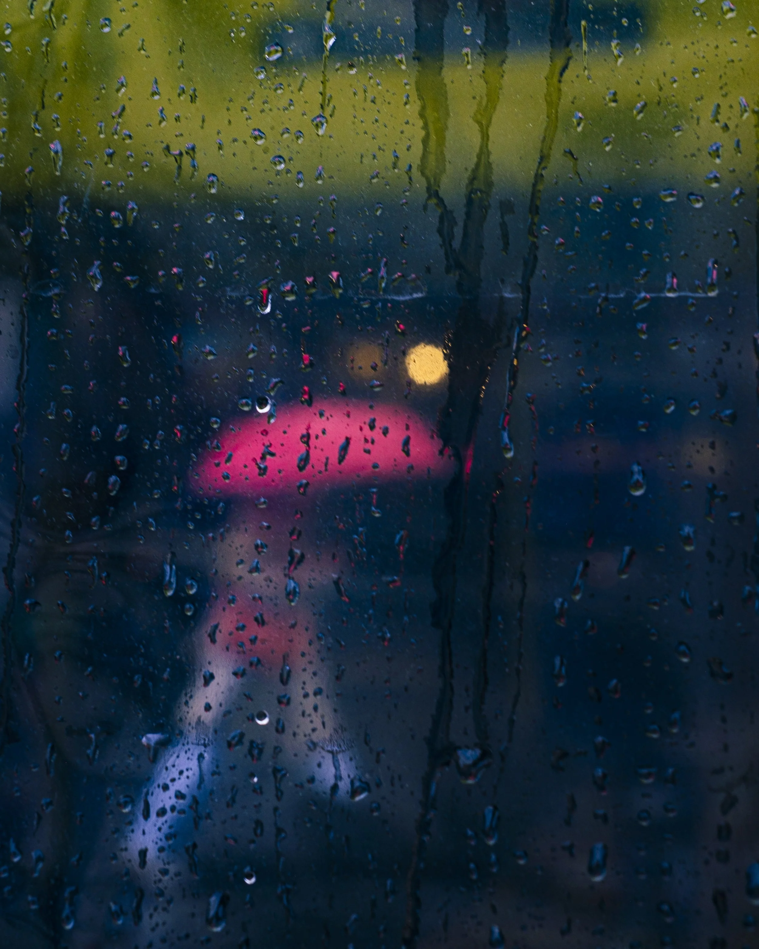 Pink Umbrella