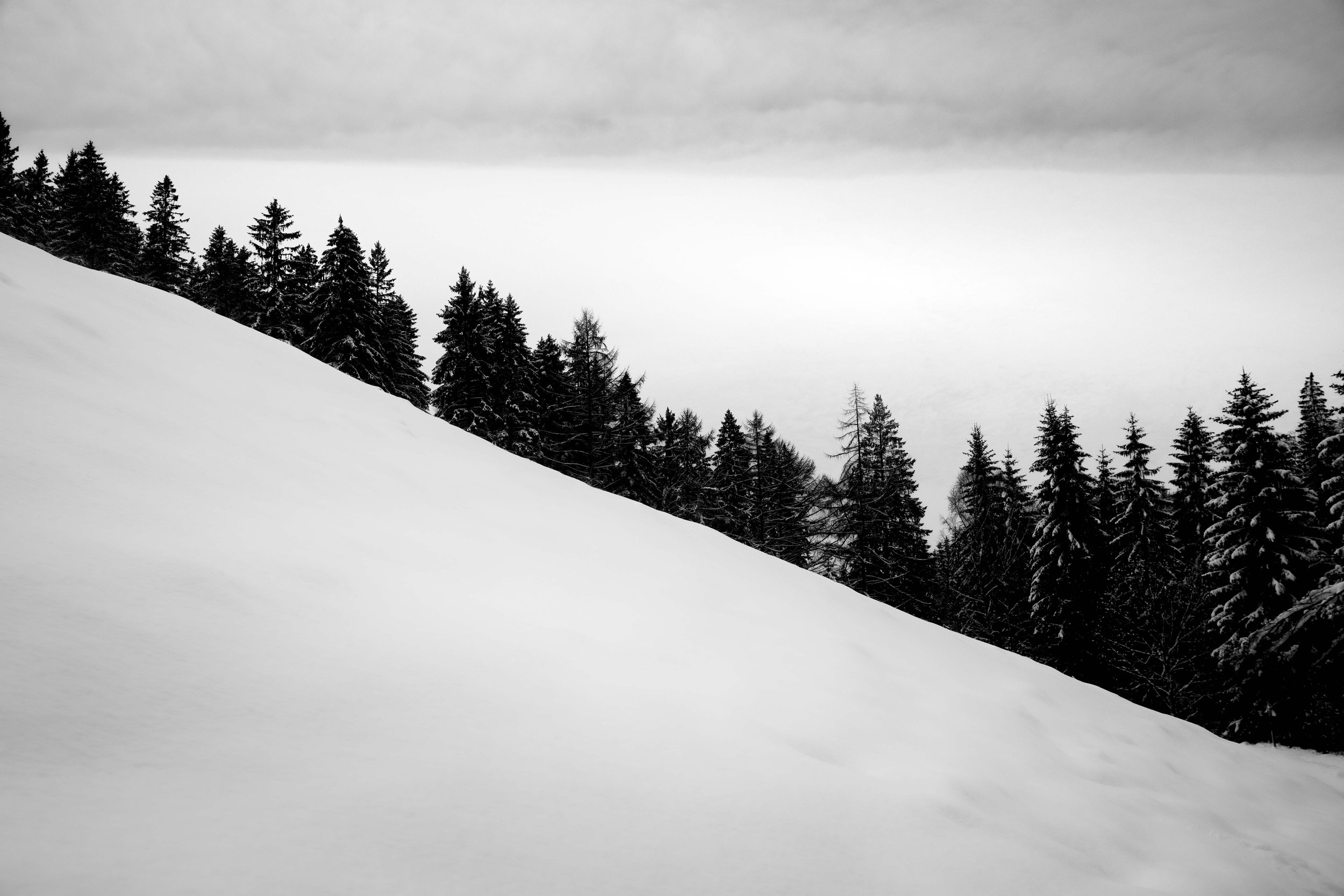_DSC0714.jpg
