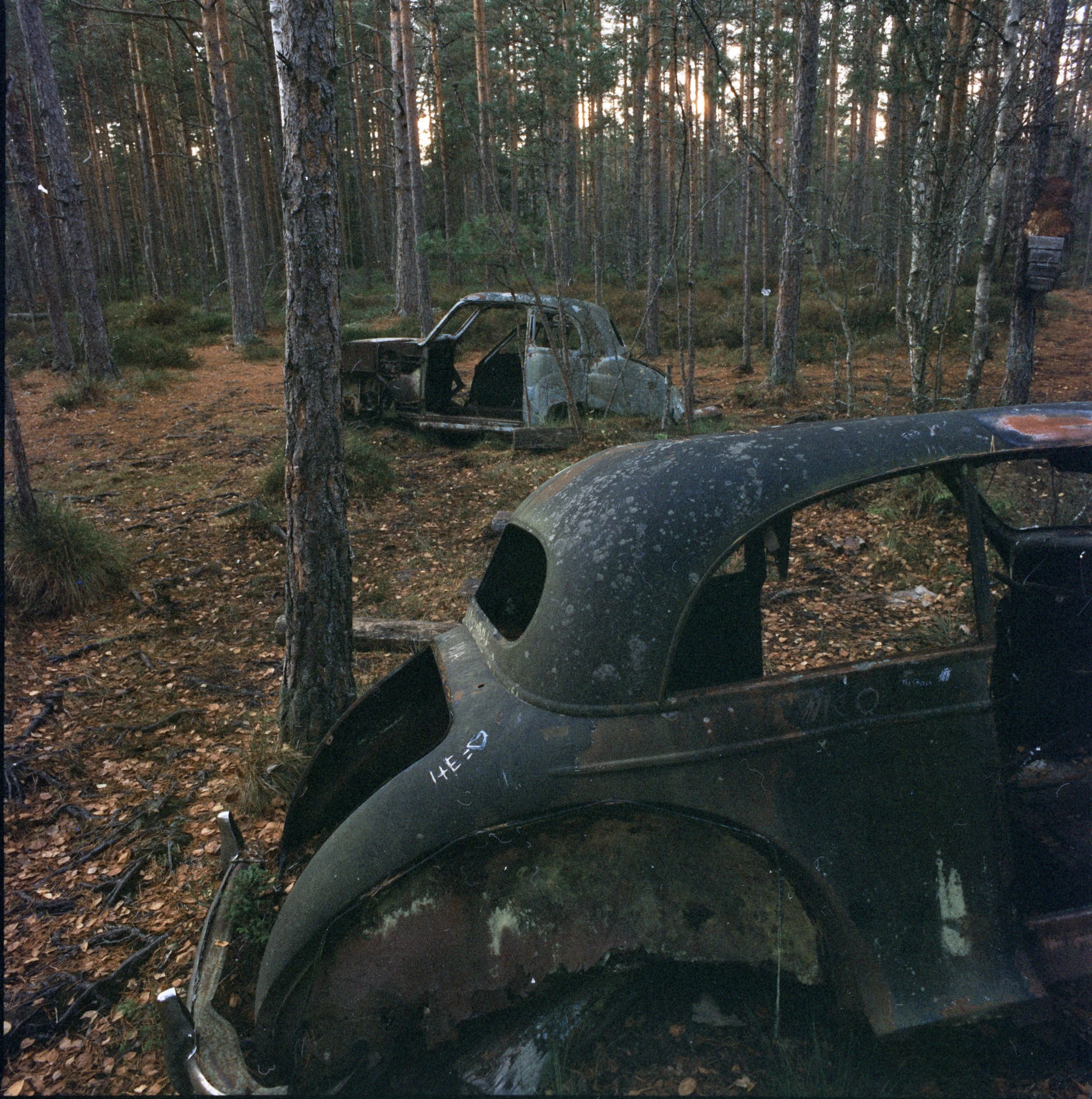 2025-10-19 Bilkyrkogården i Ryd 09.jpg