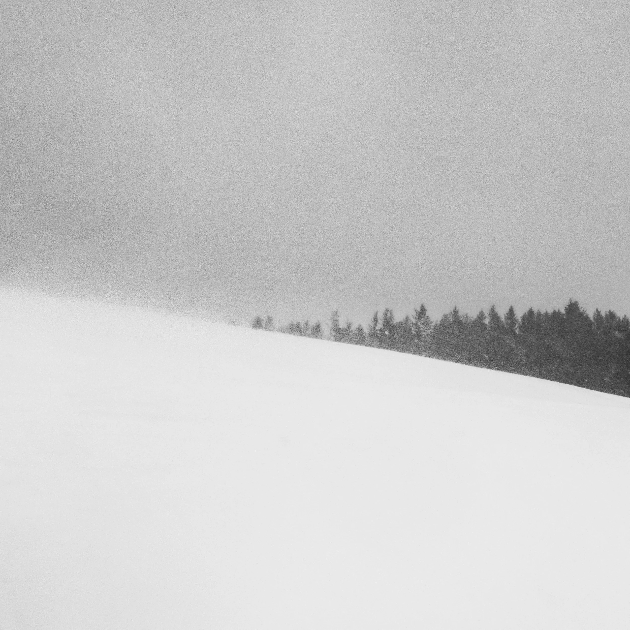 Blizzard III