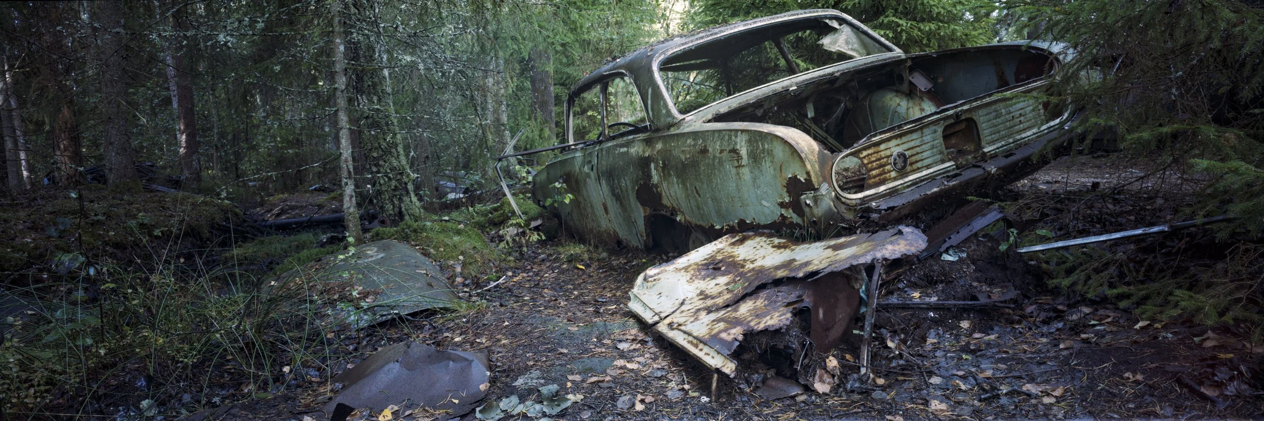 202609 The Junkyard Kodak Gold 200 (3).jpg